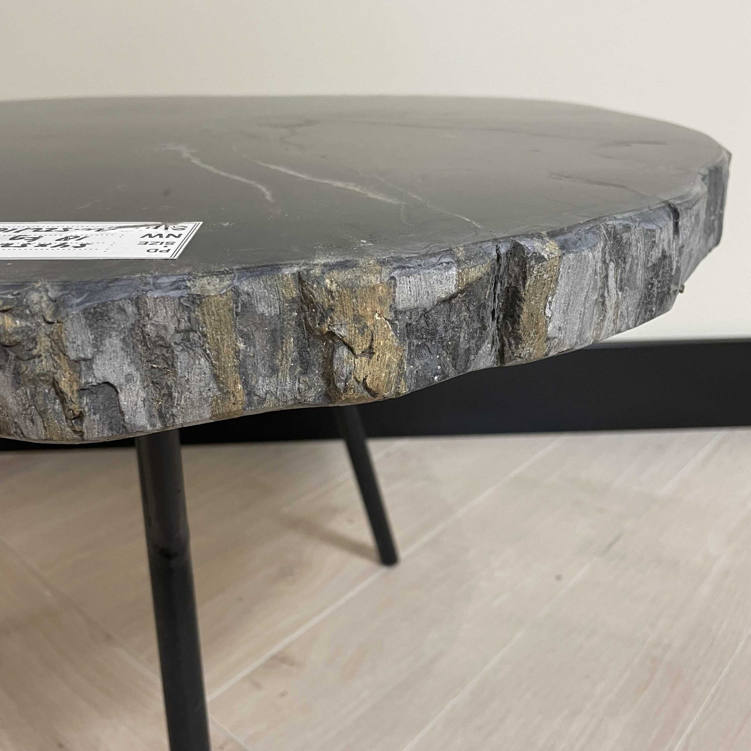 Versteinertes Holz