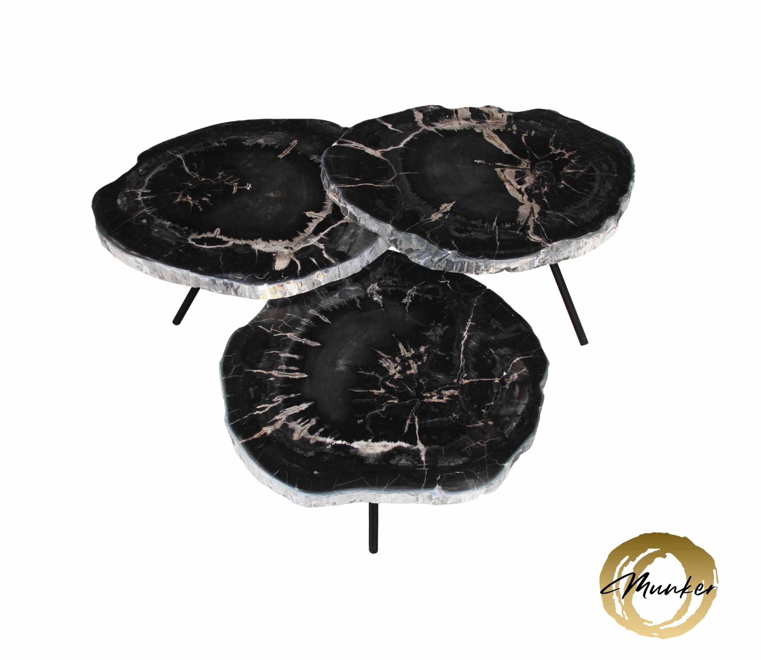 Versteend hout salontafel