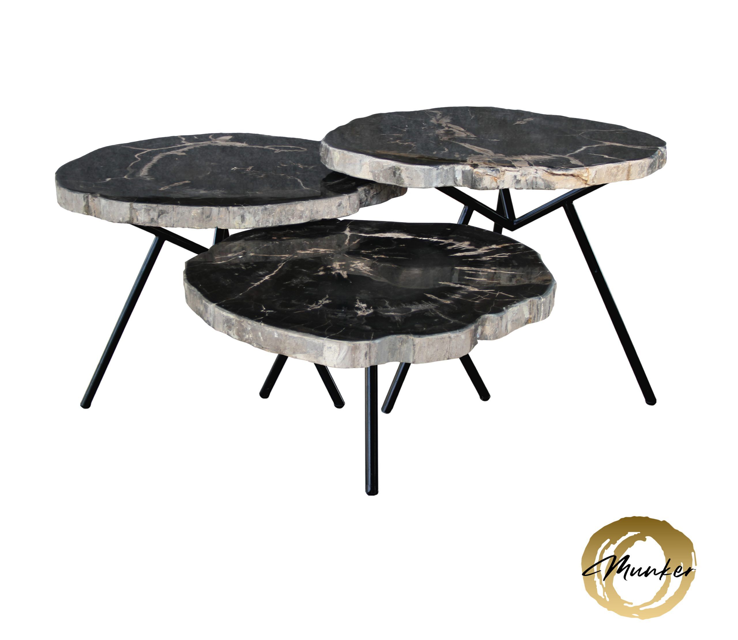 Versteend hout salontafel