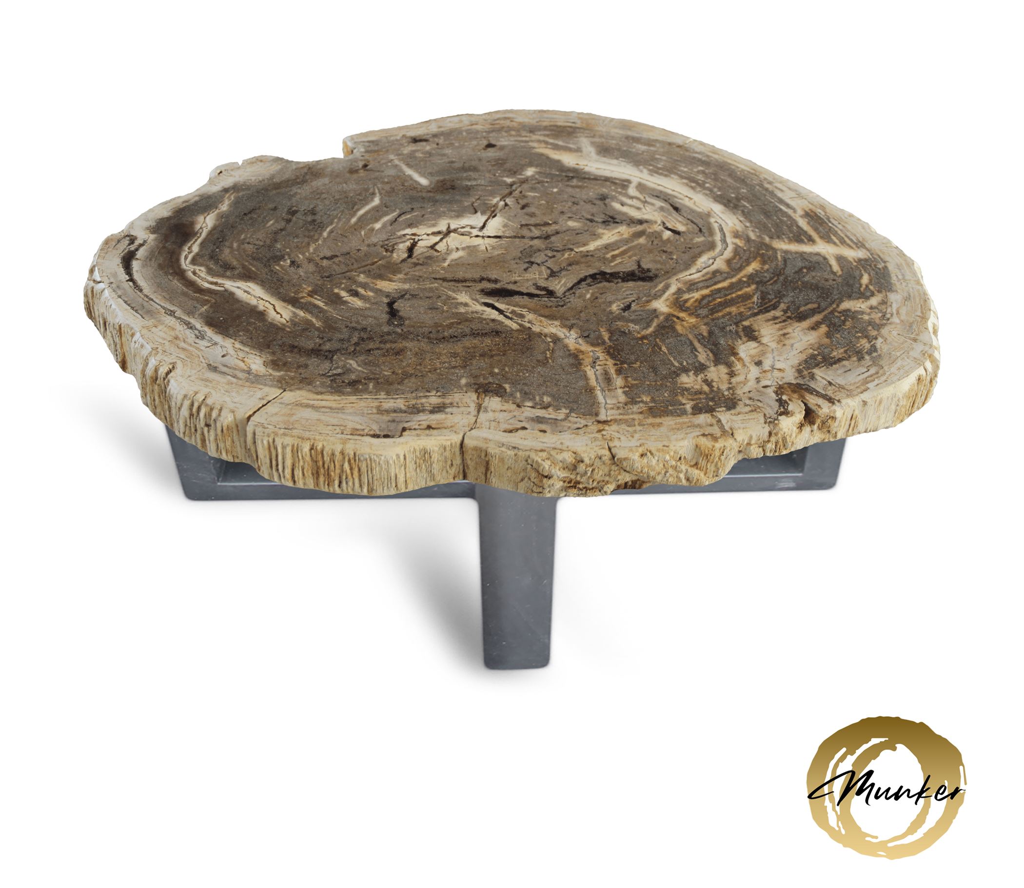 Versteend hout salontafel