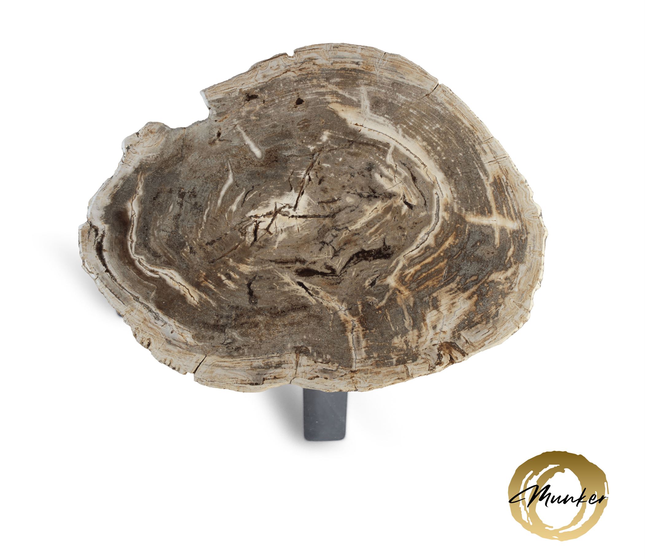 Versteend hout salontafel