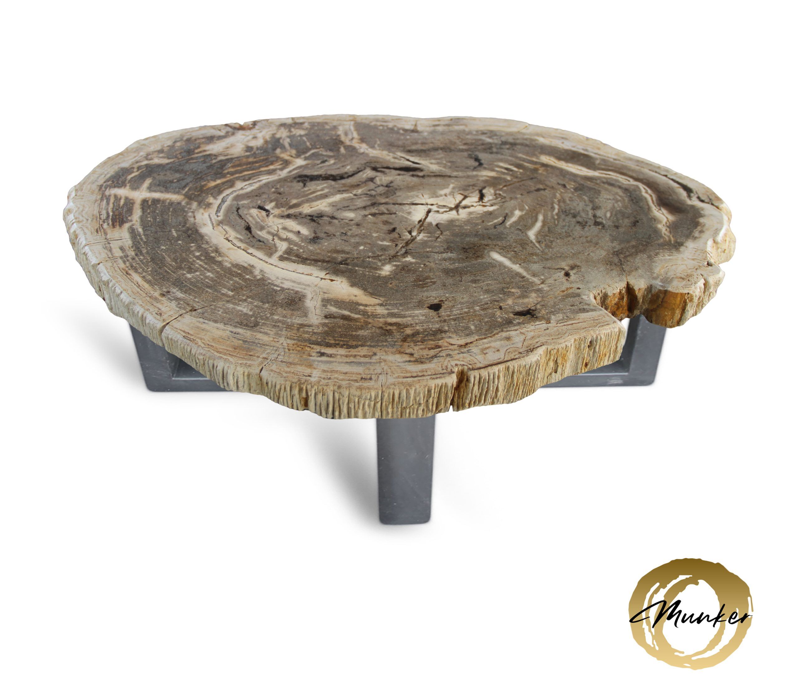 Versteend hout salontafel