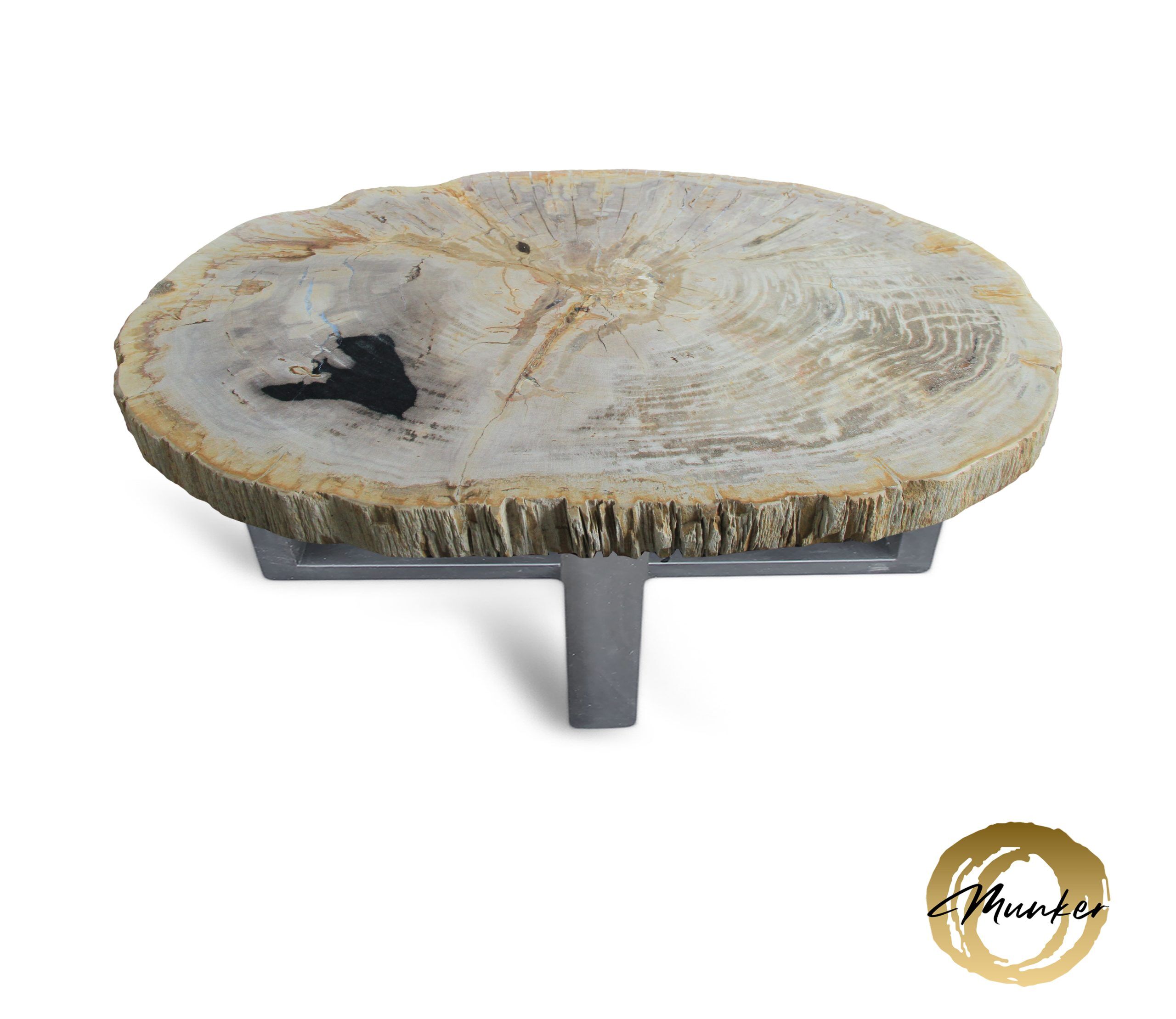 Versteend hout salontafel