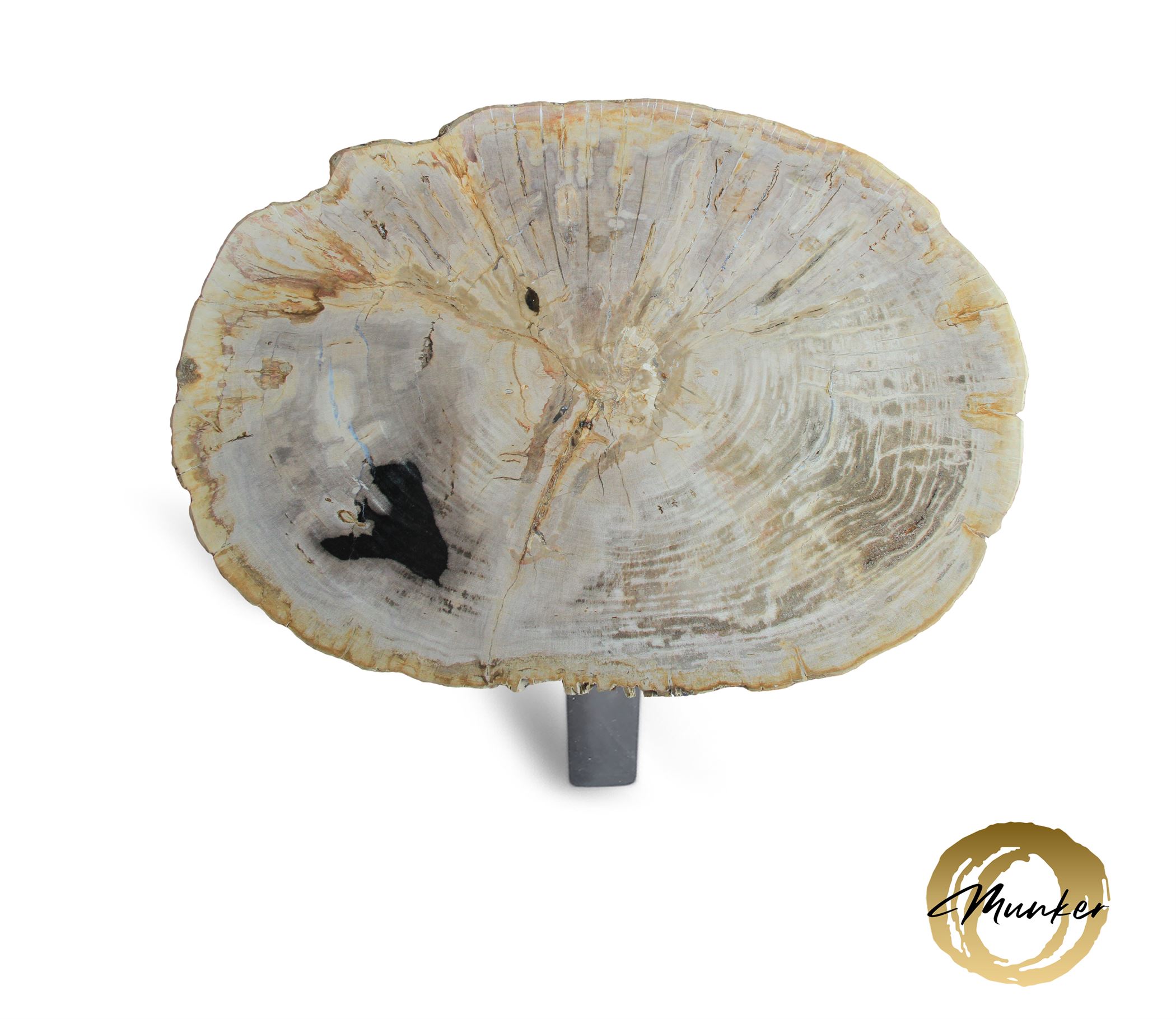 Versteend hout salontafel