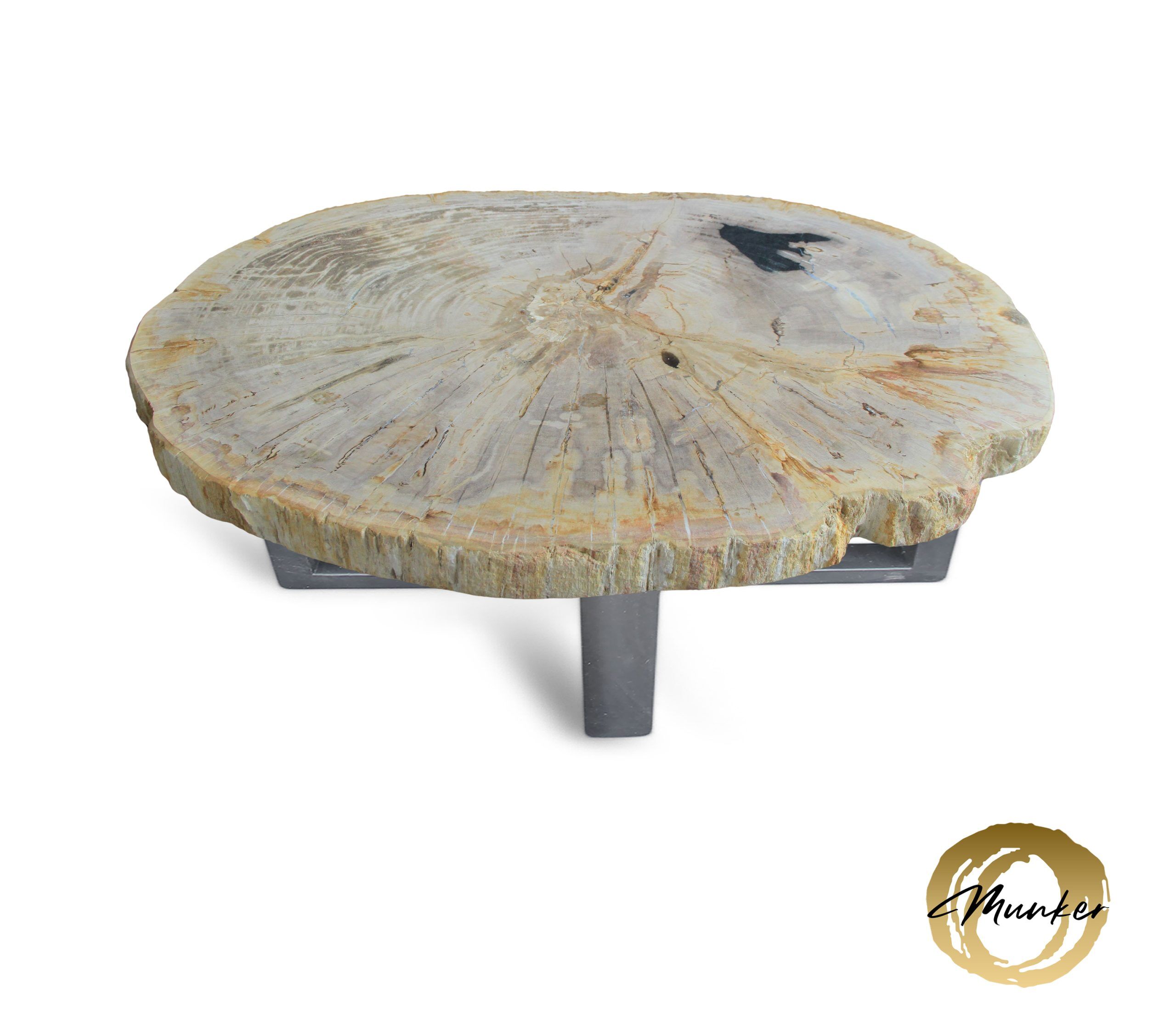 Versteend hout salontafel