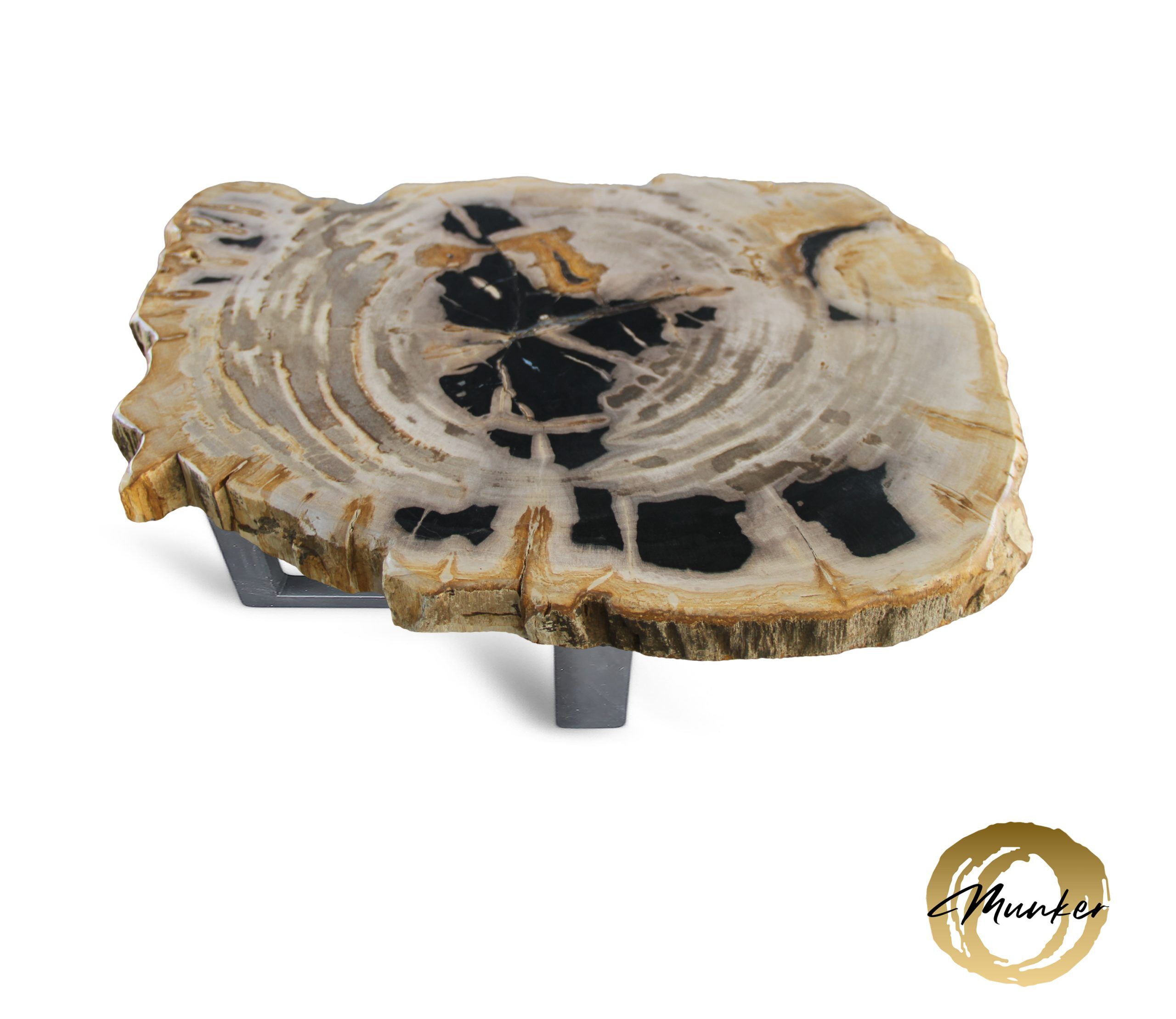 Versteend hout salontafel