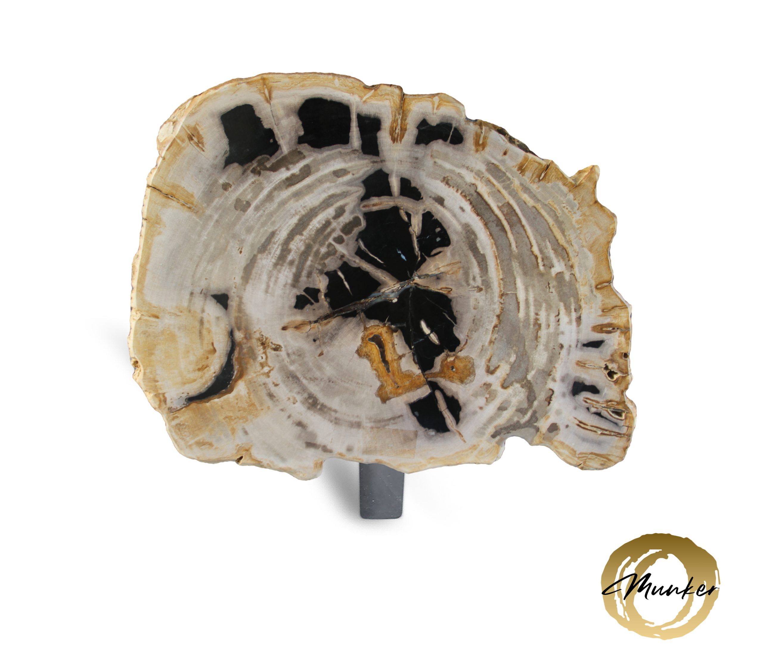 Versteend hout salontafel