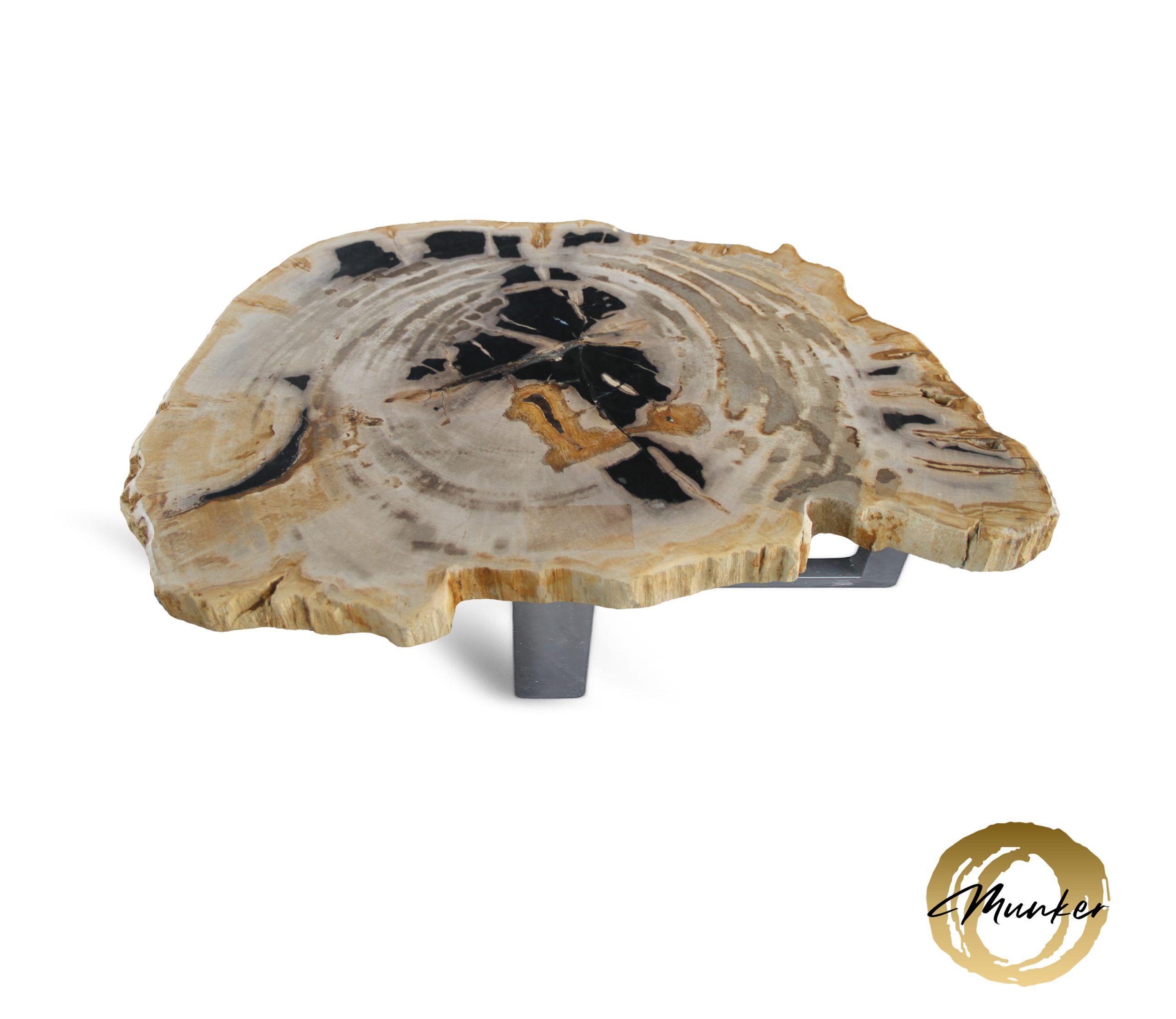 Versteend hout salontafel