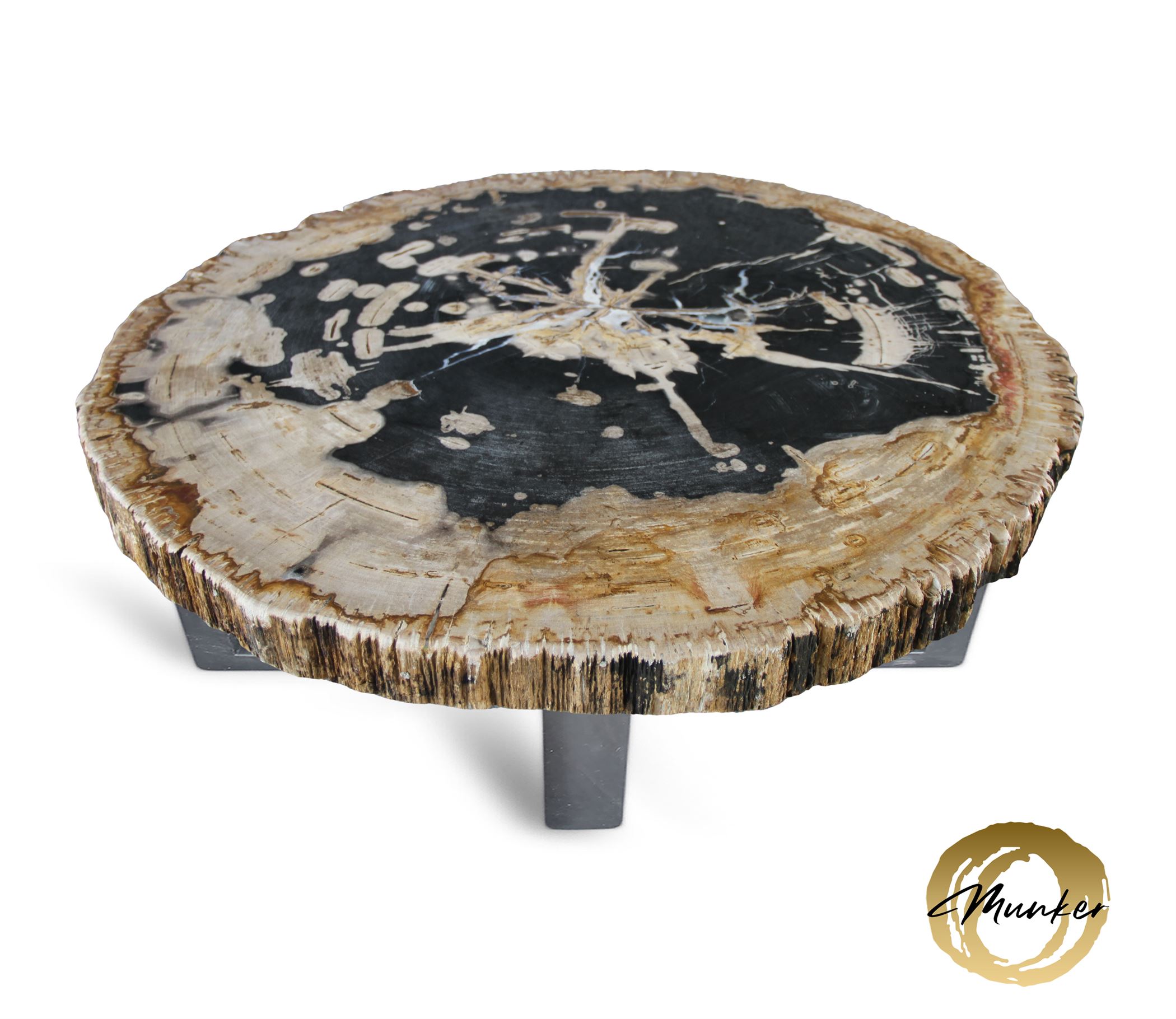 Versteend hout salontafel