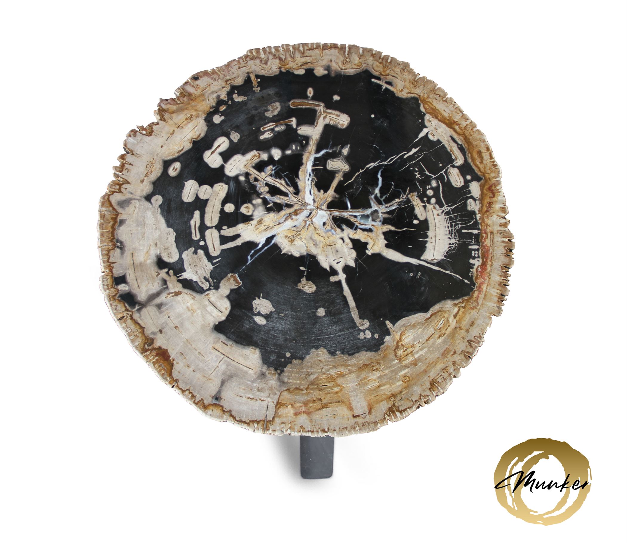 Versteend hout salontafel