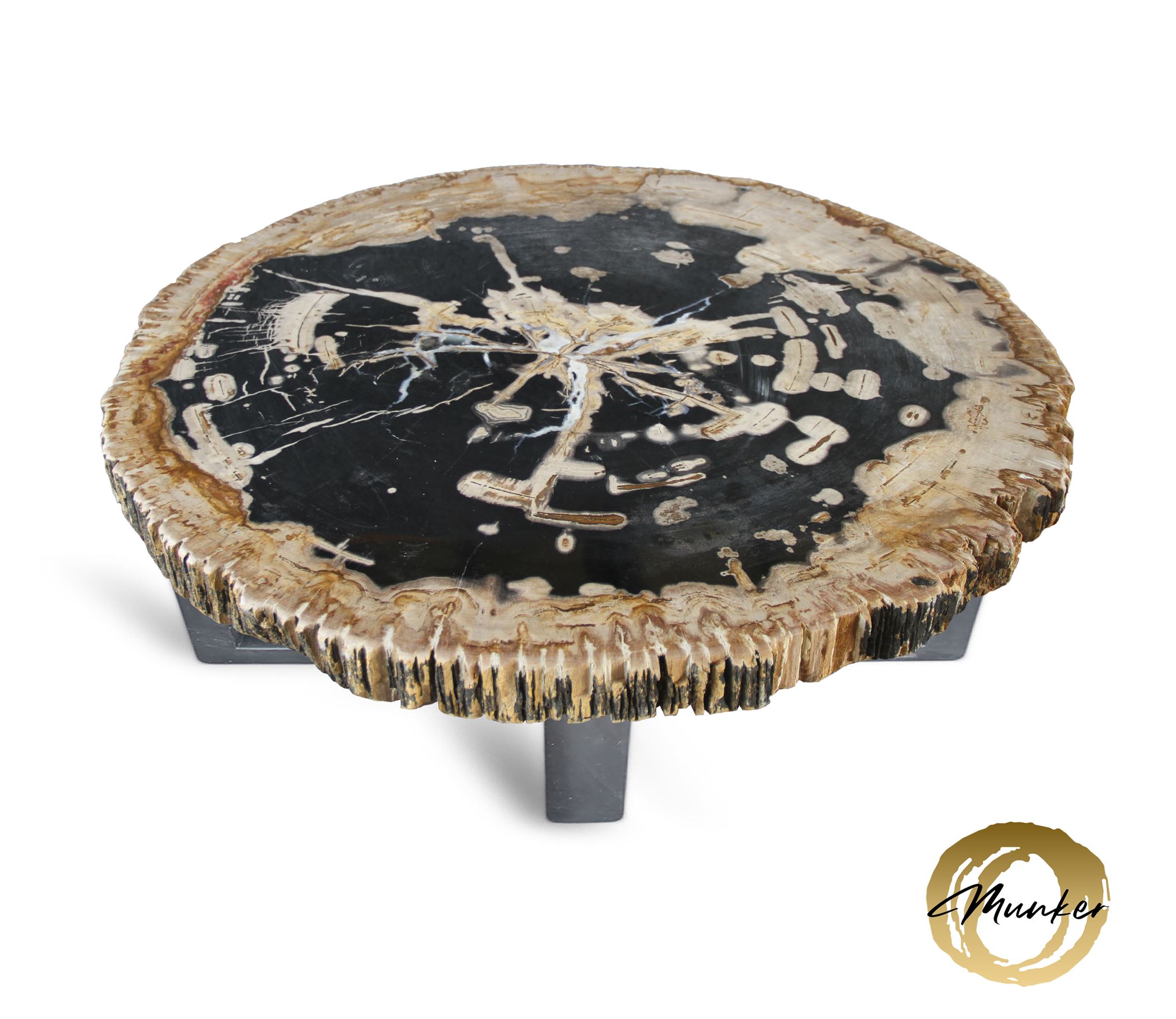 Versteend hout salontafel