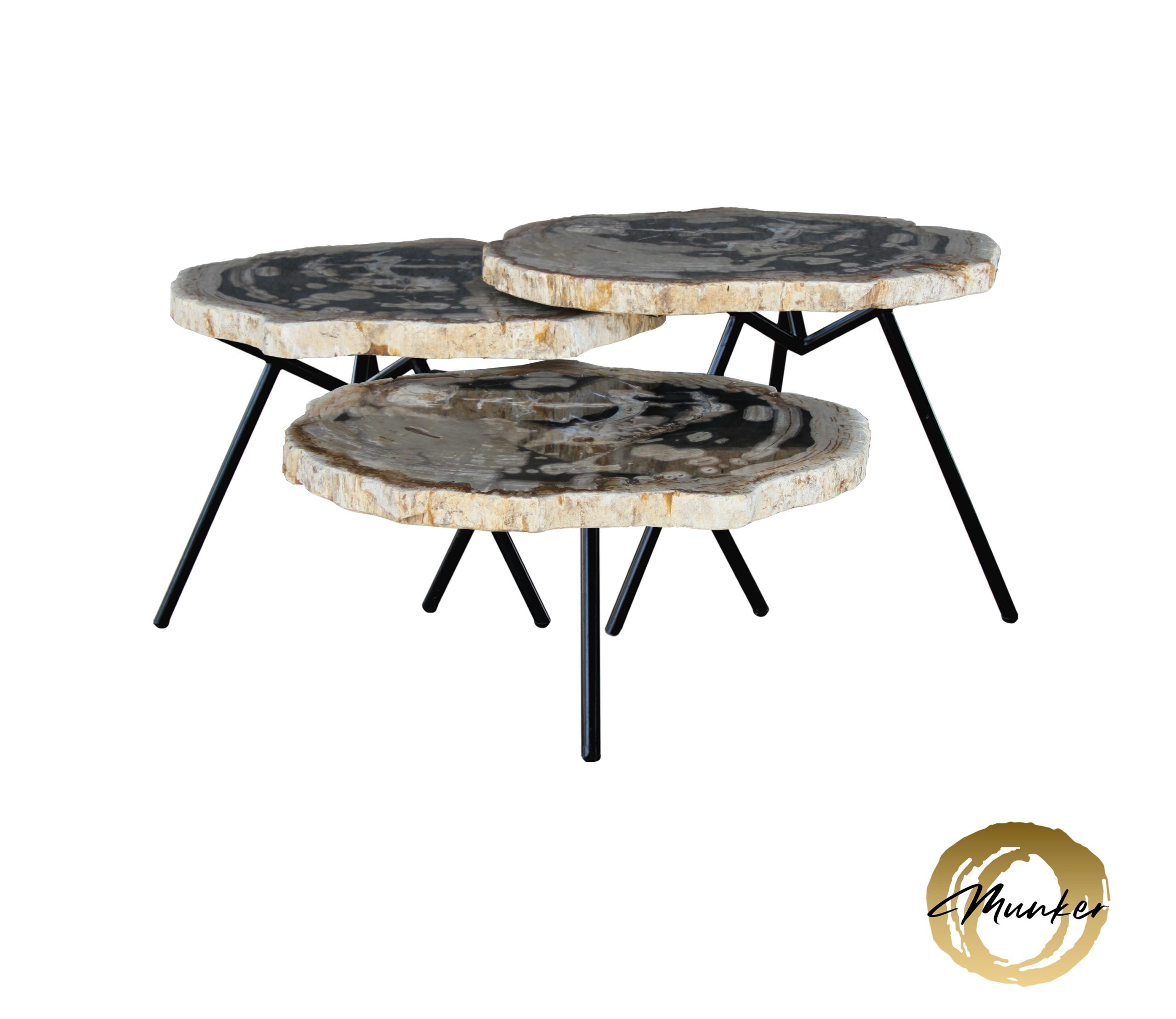 Versteend hout salontafel