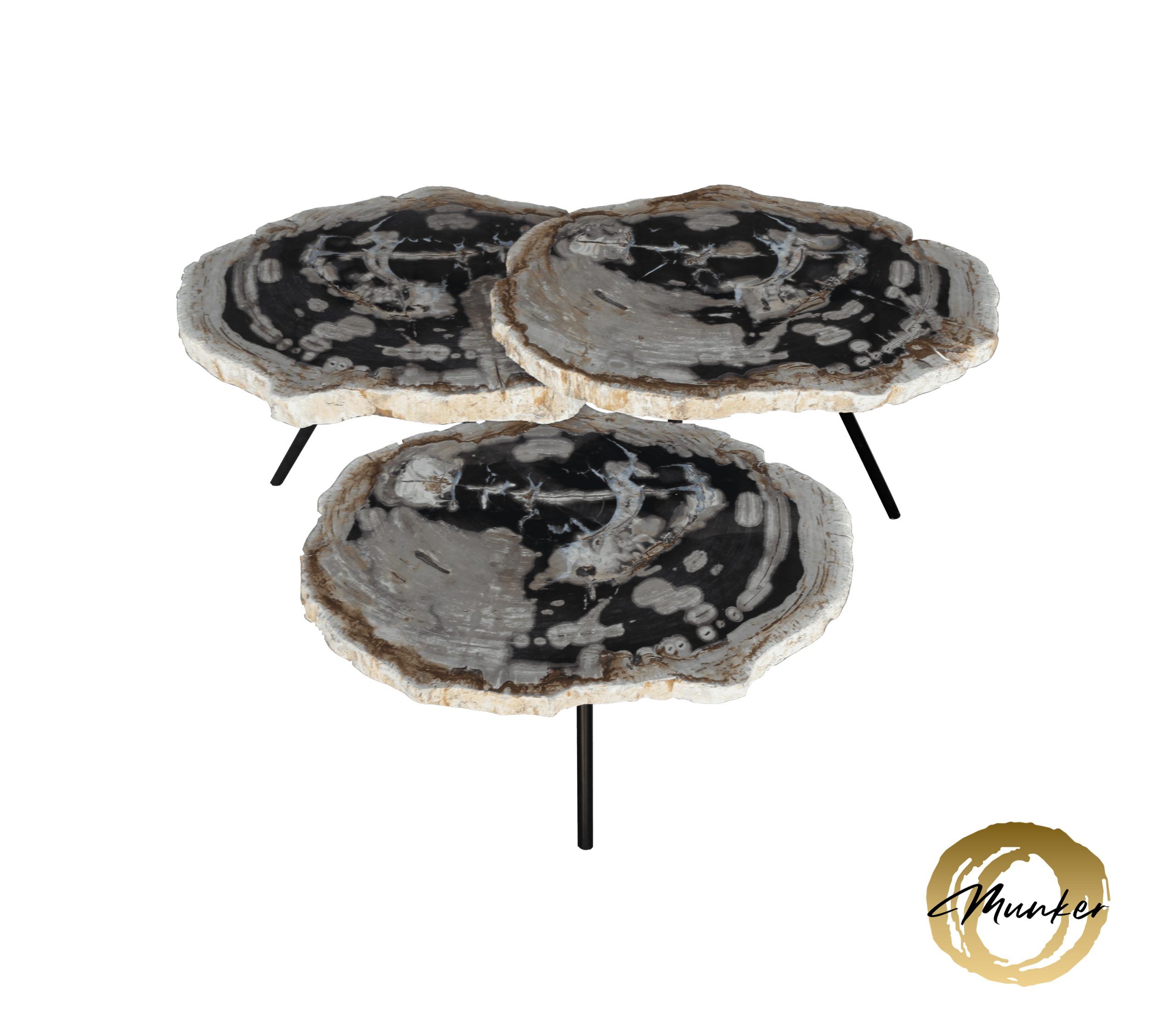 Versteend hout salontafel