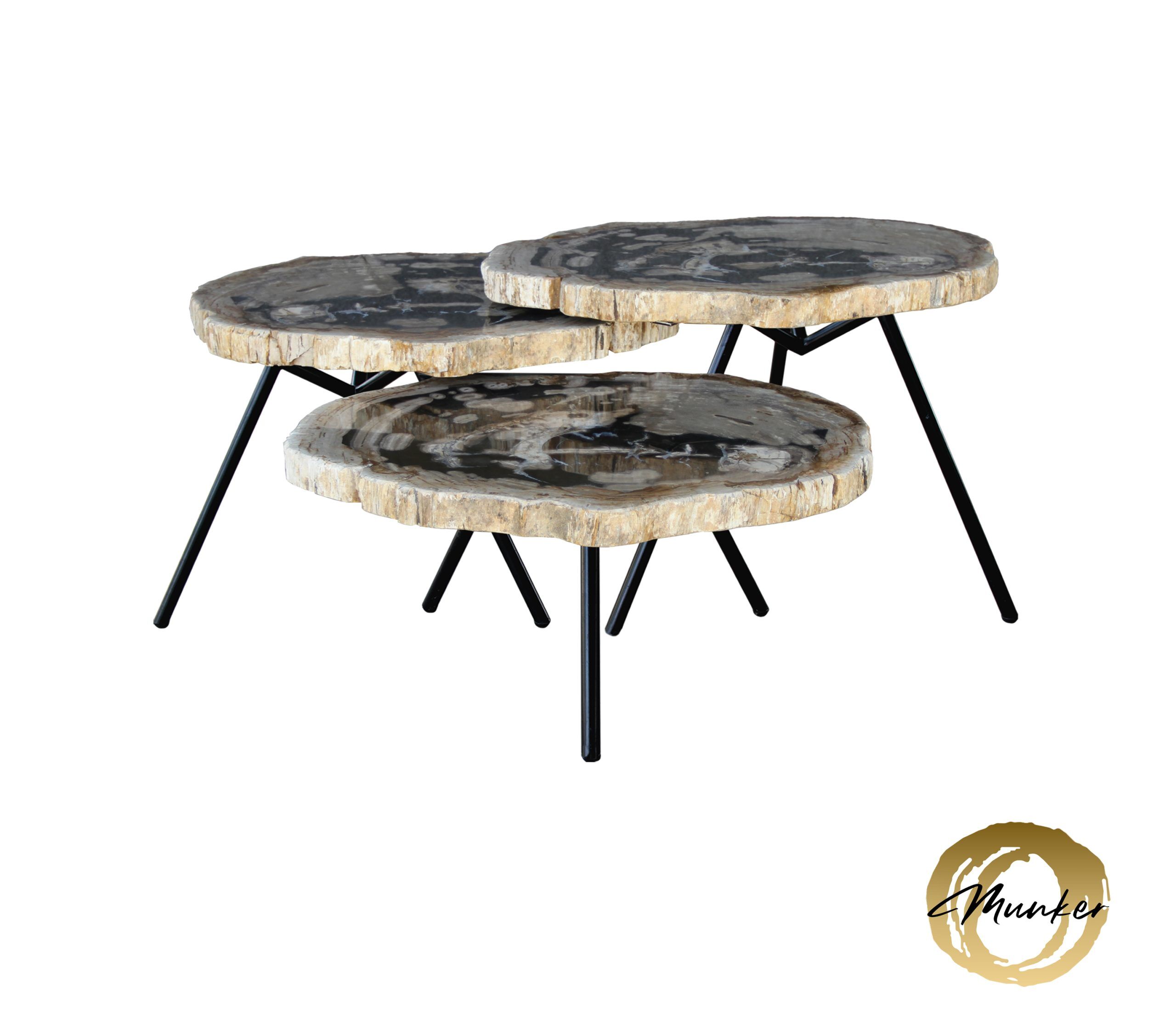 Versteend hout salontafel