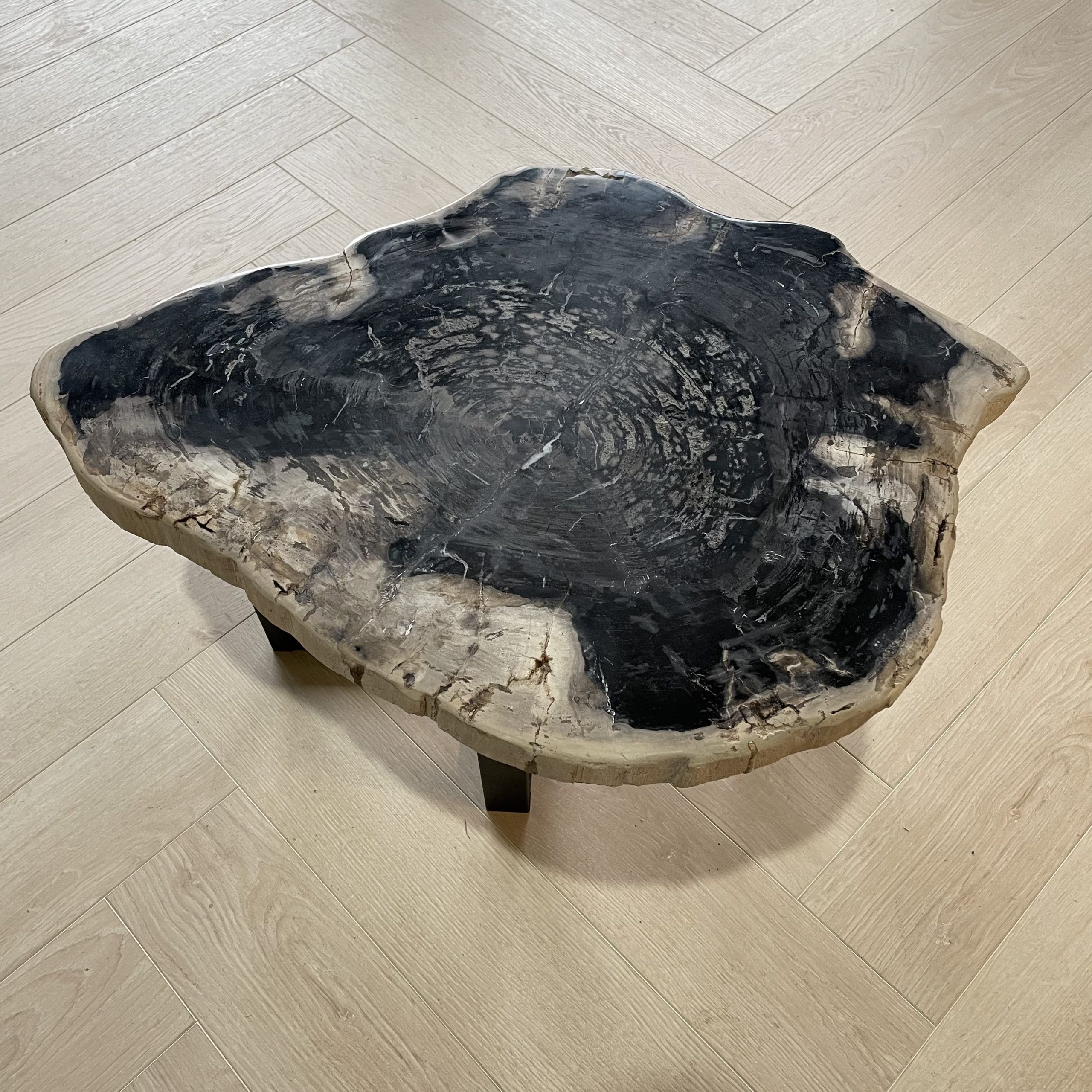 Couchtisch aus versteinertem Holz