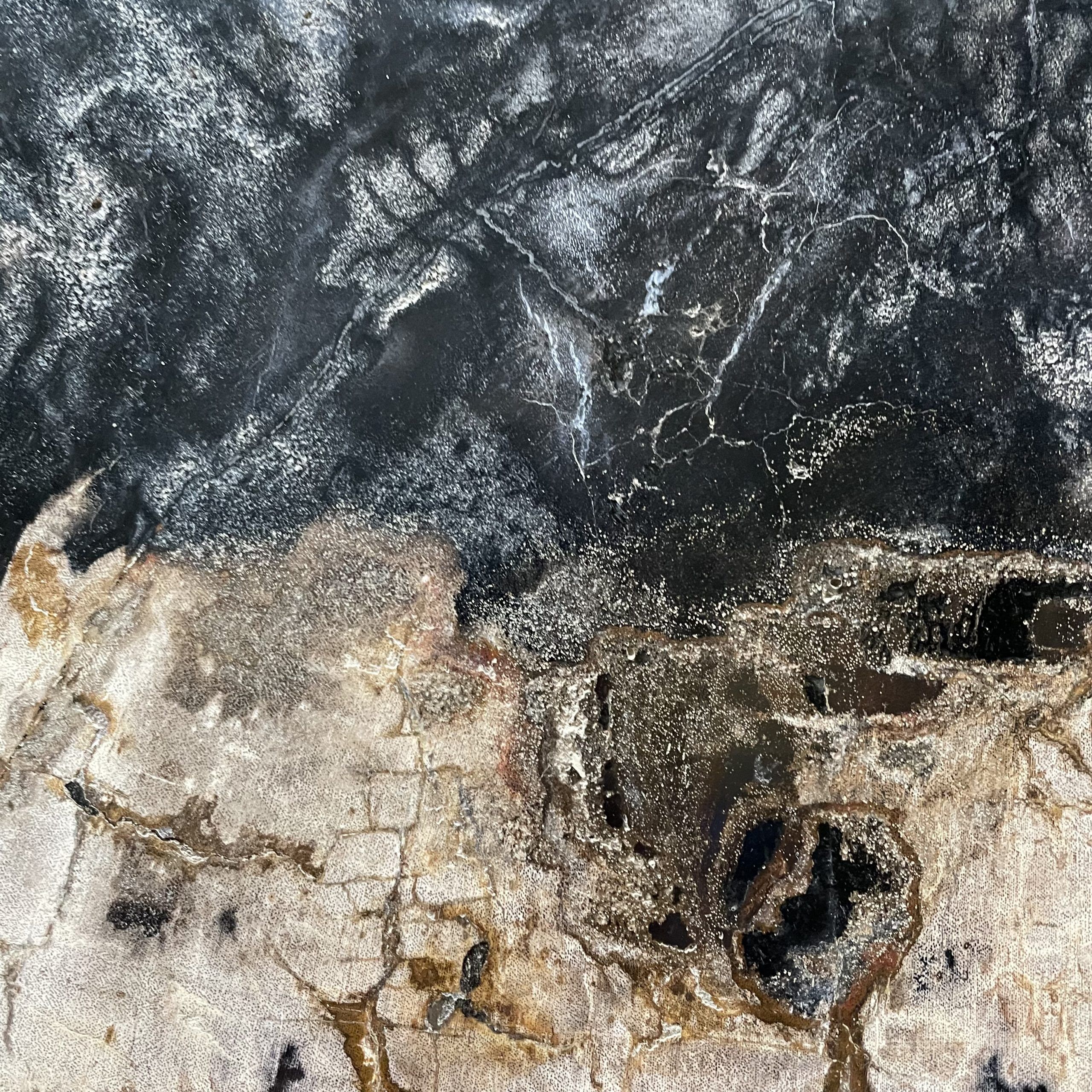 Couchtisch aus versteinertem Holz