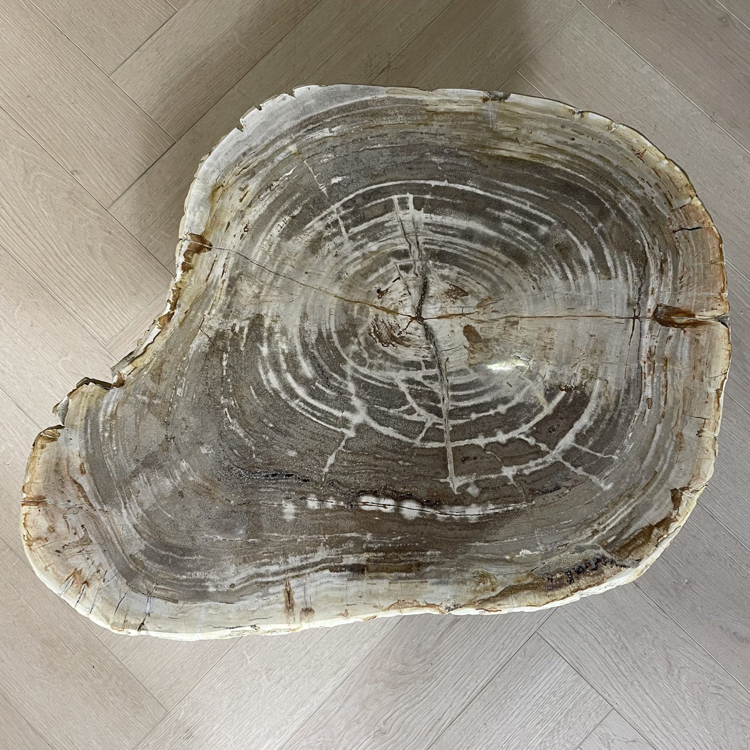 Versteend hout salontafel