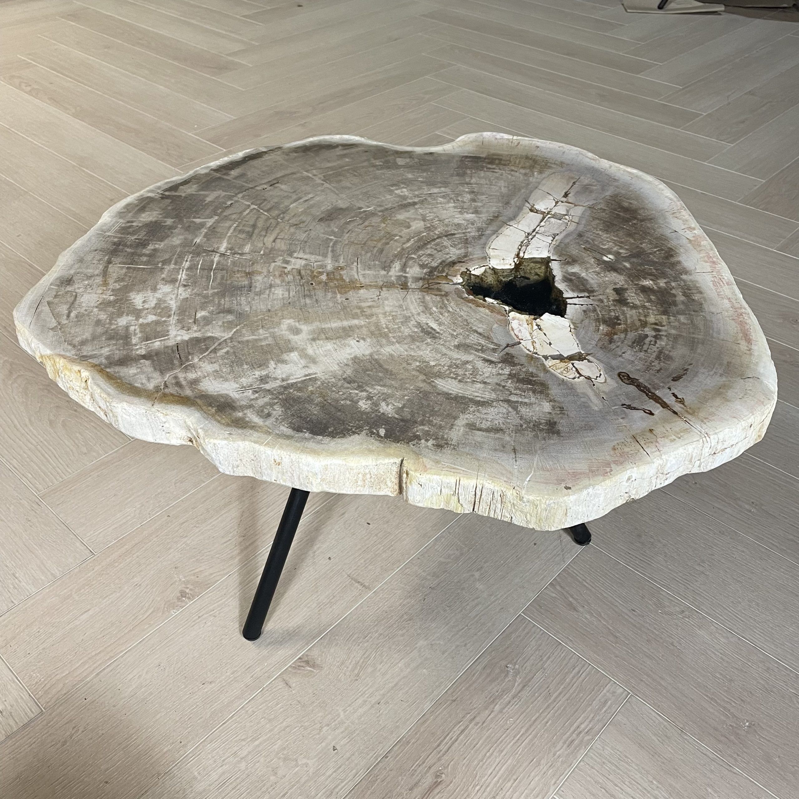 Versteend hout salontafel