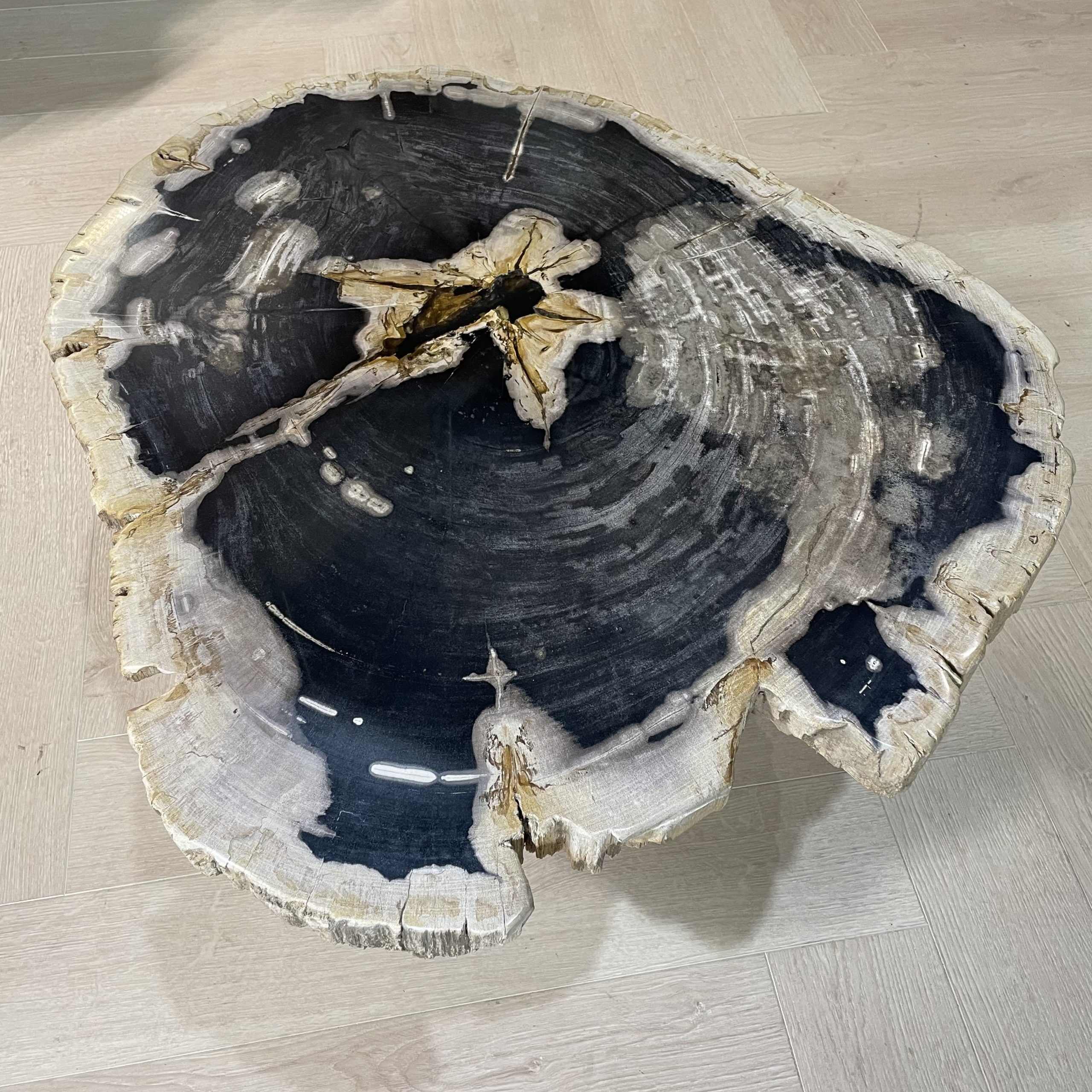 Couchtisch aus versteinertem Holz