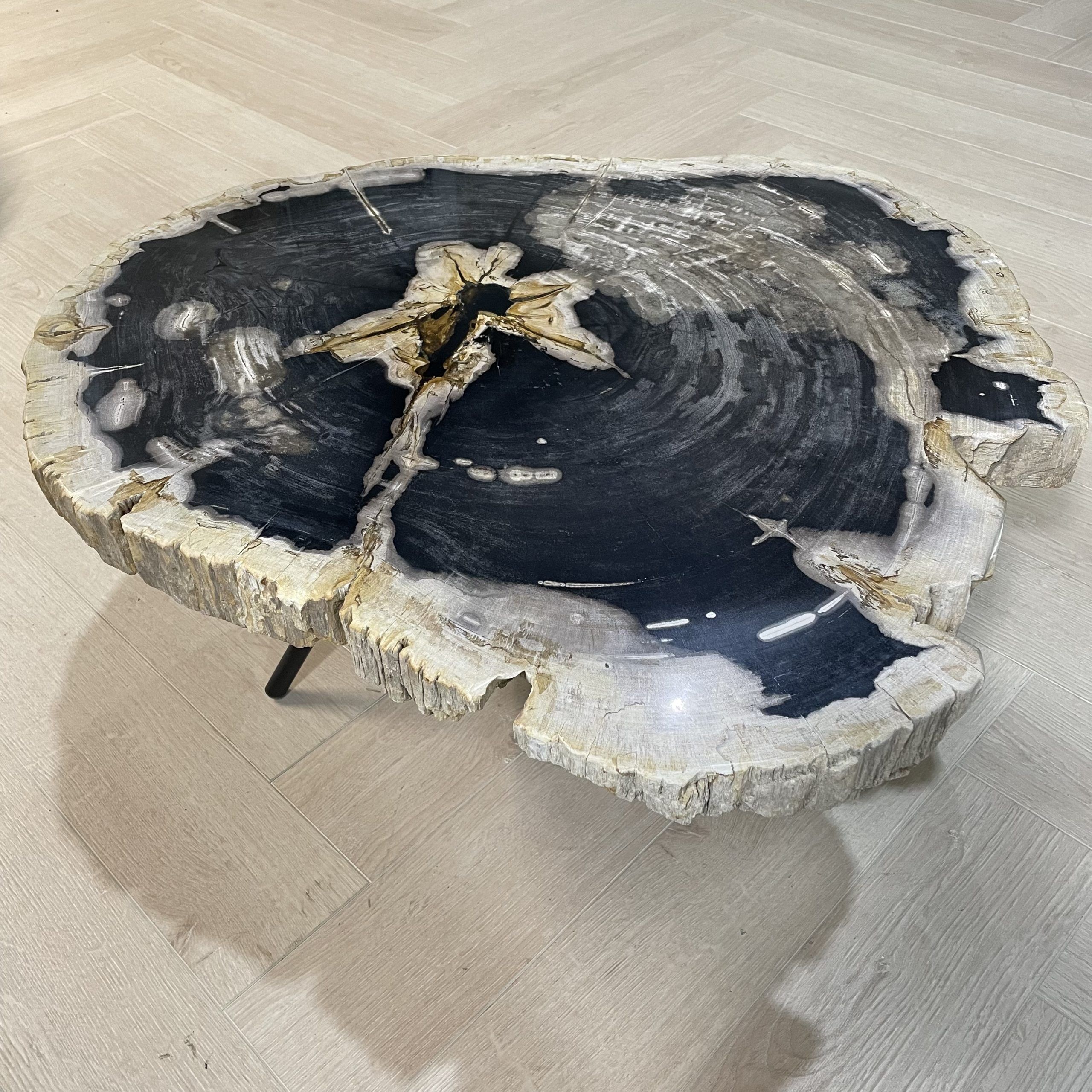 Couchtisch versteinertes Holz