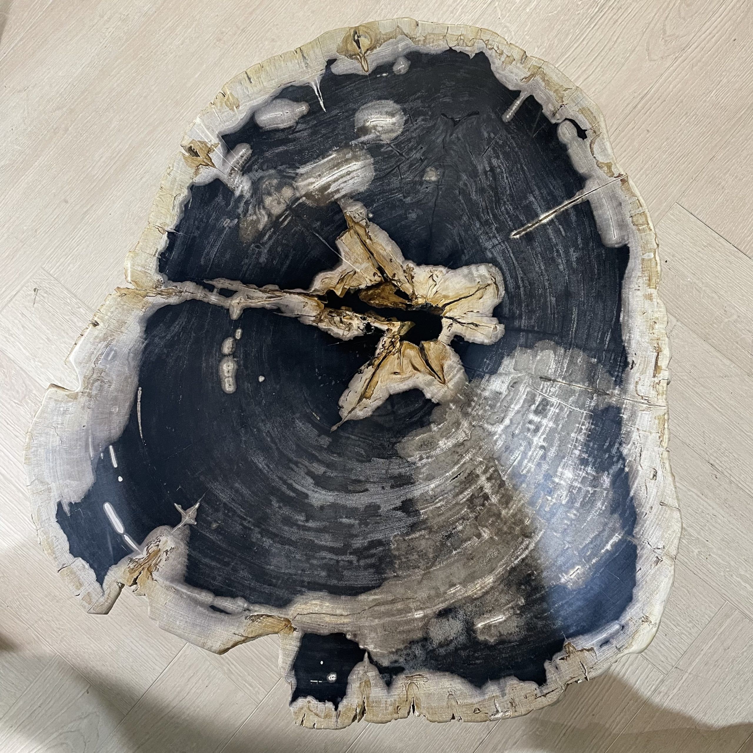 Couchtisch aus versteinertem Holz