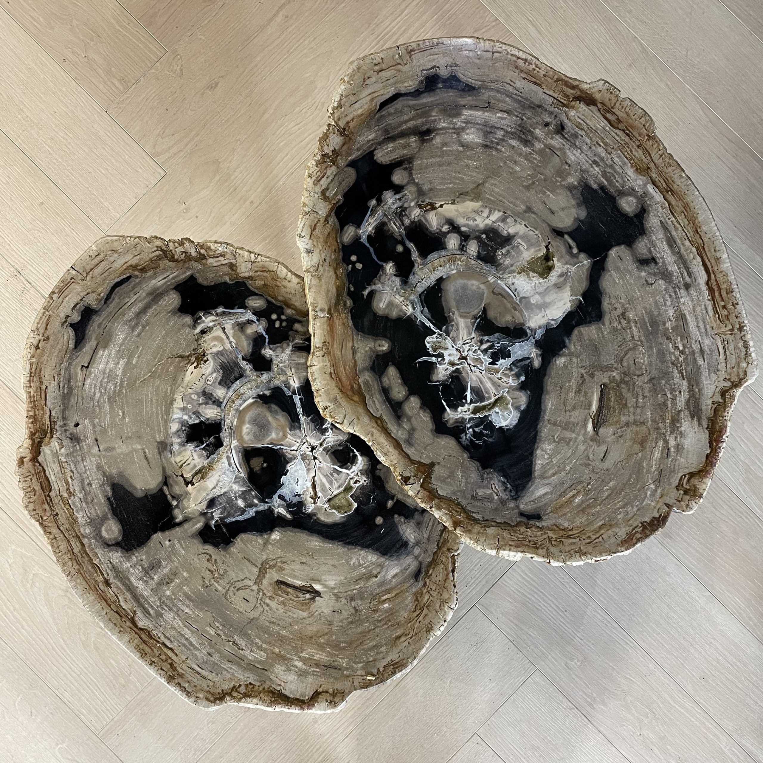 Couchtisch aus versteinertem Holz
