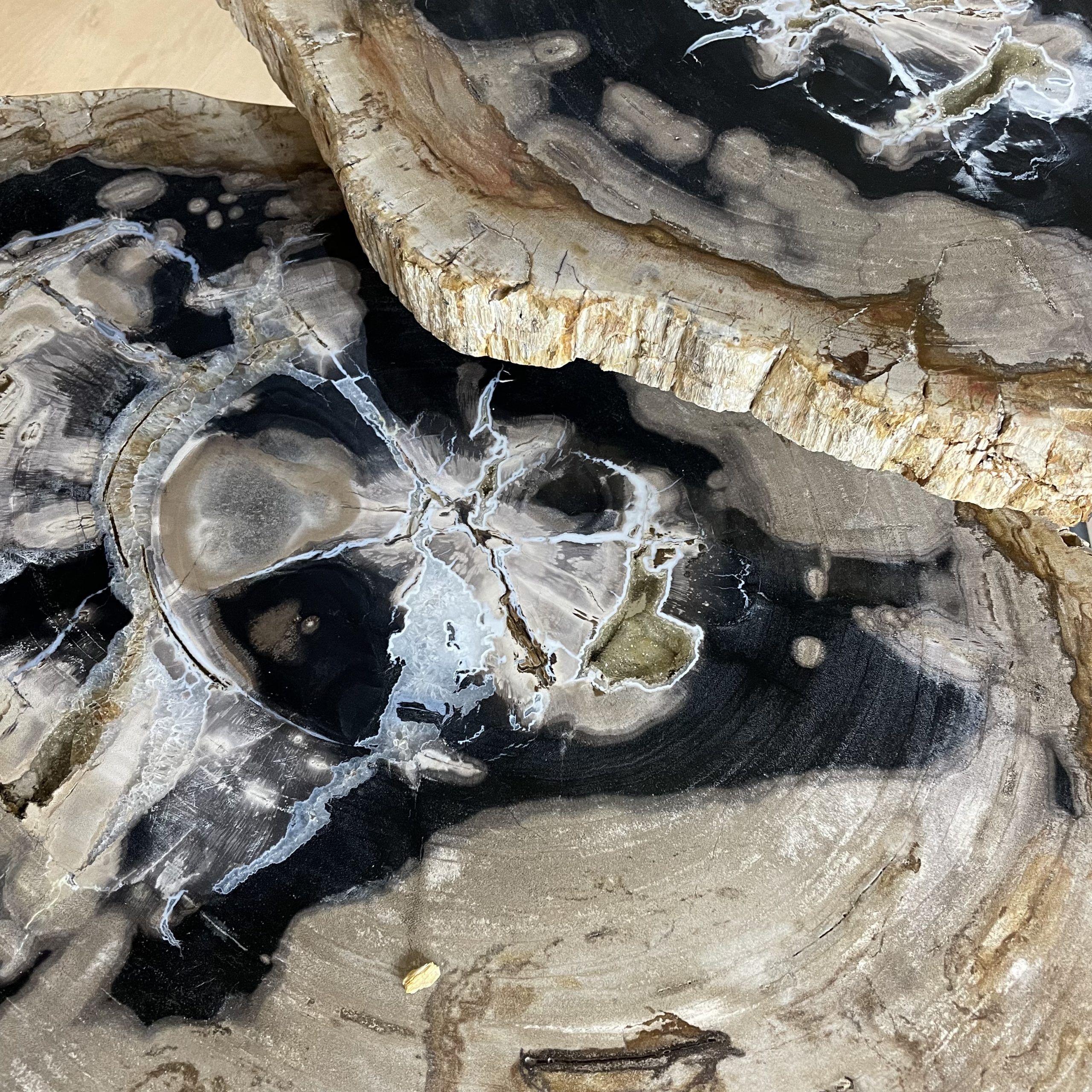 Couchtisch aus versteinertem Holz