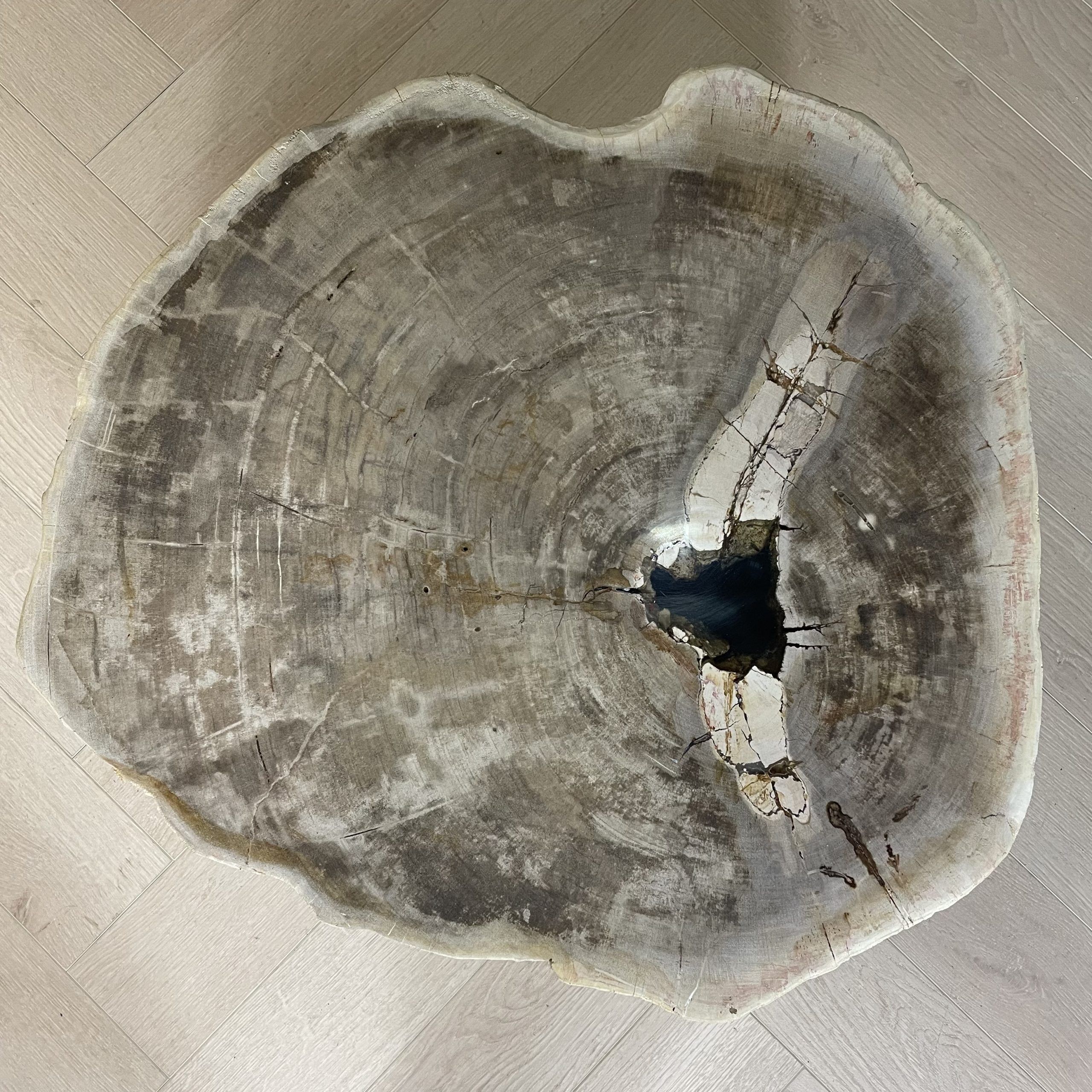 Versteend hout salontafel