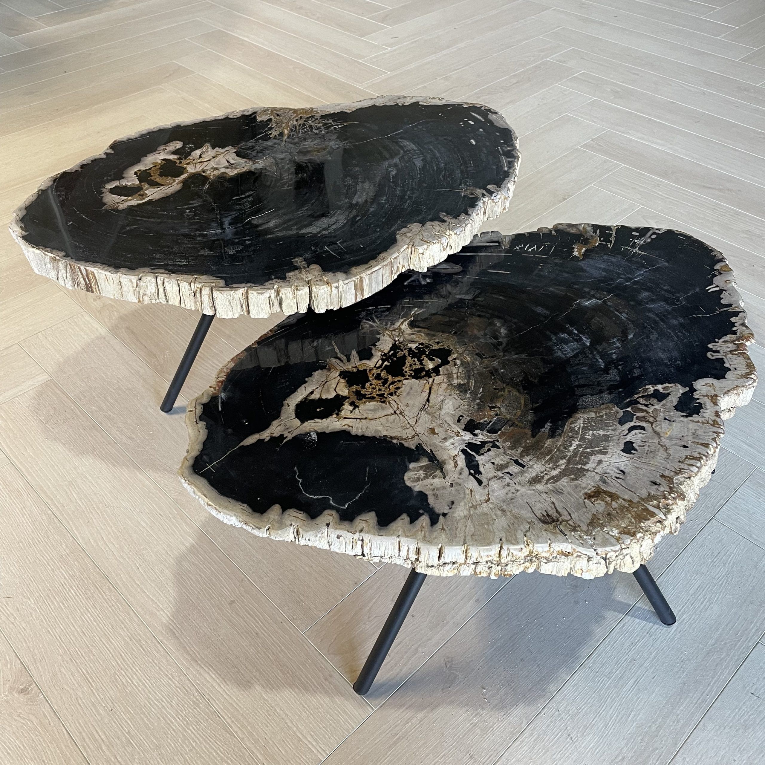 Versteend hout salontafel