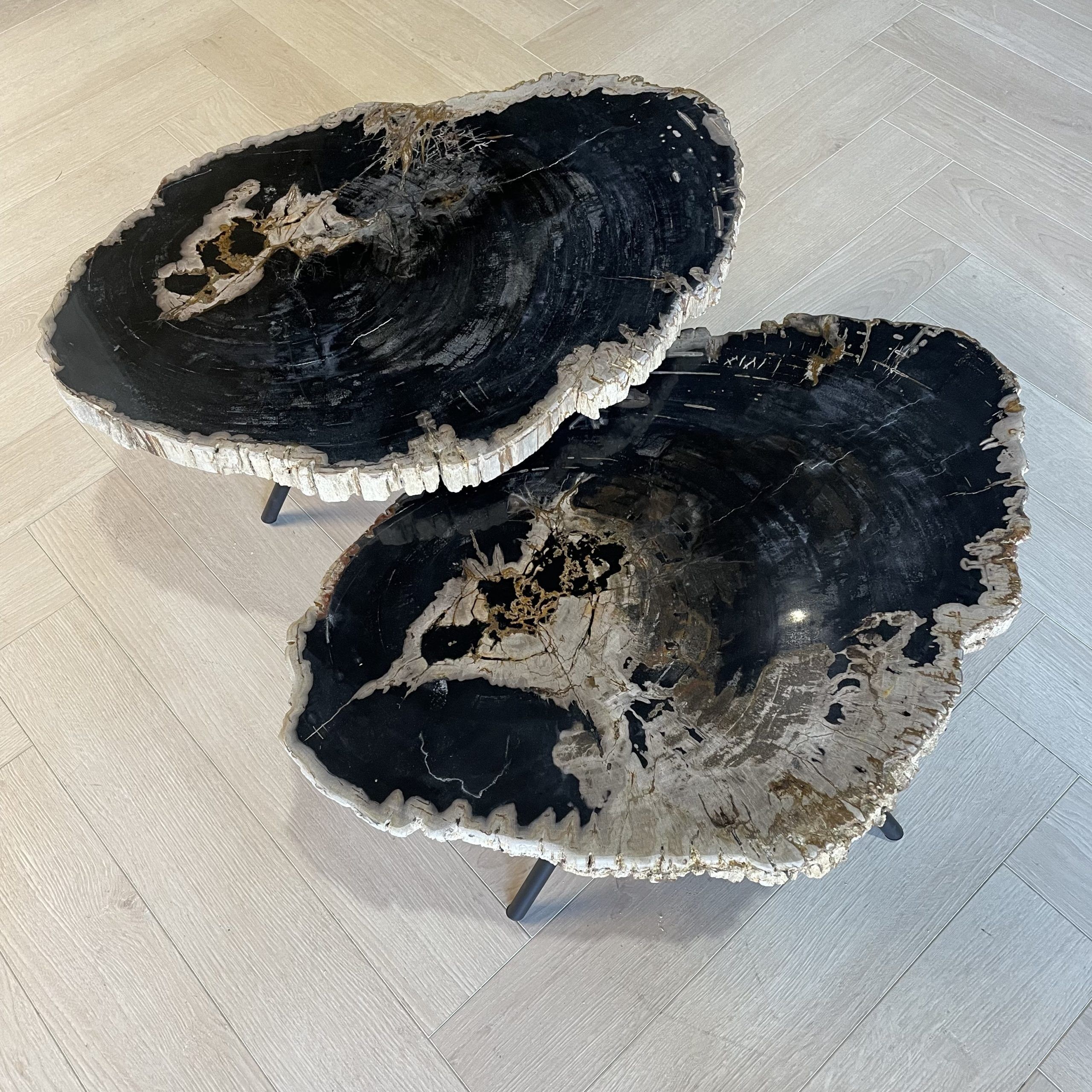 Versteend hout salontafel