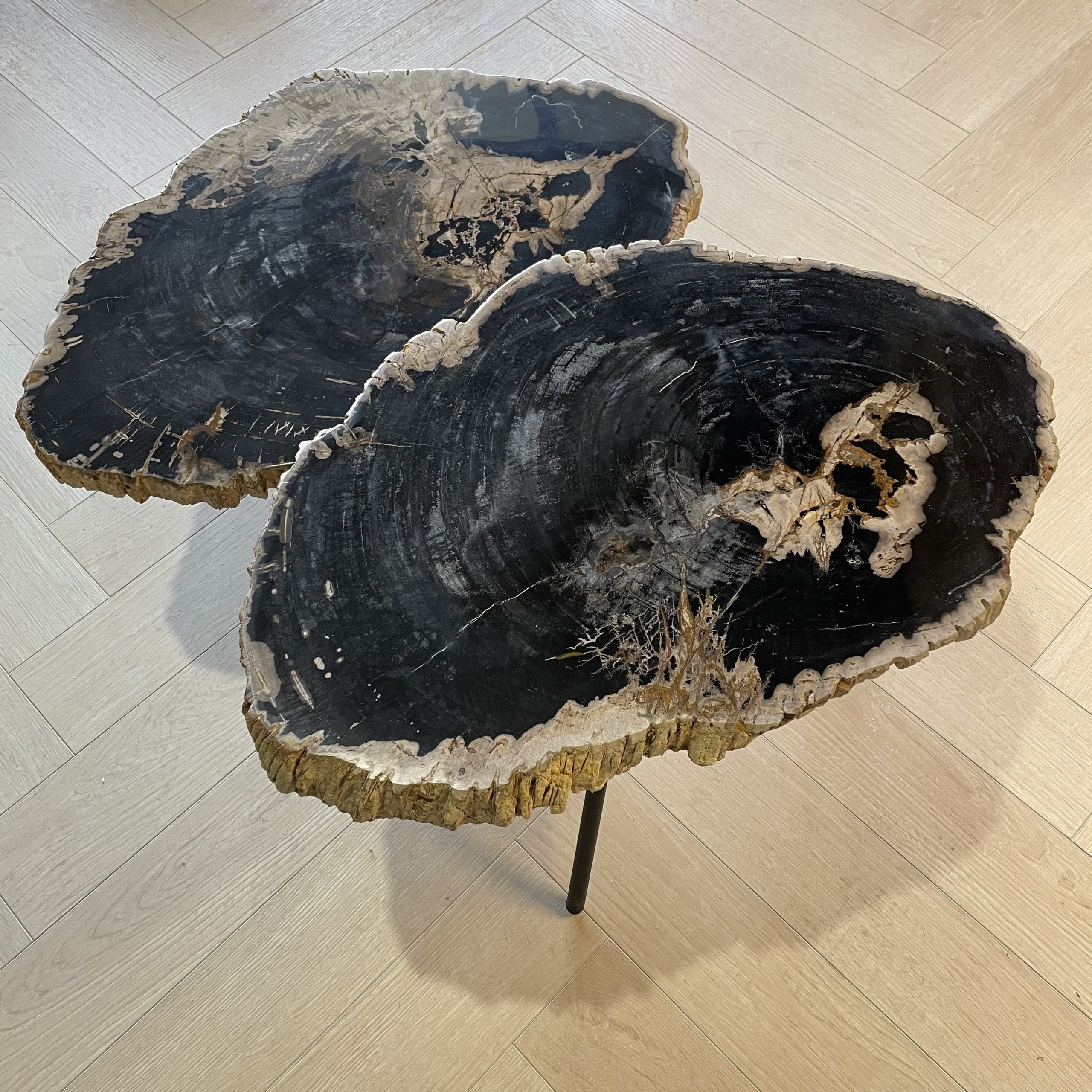 Versteend hout salontafel