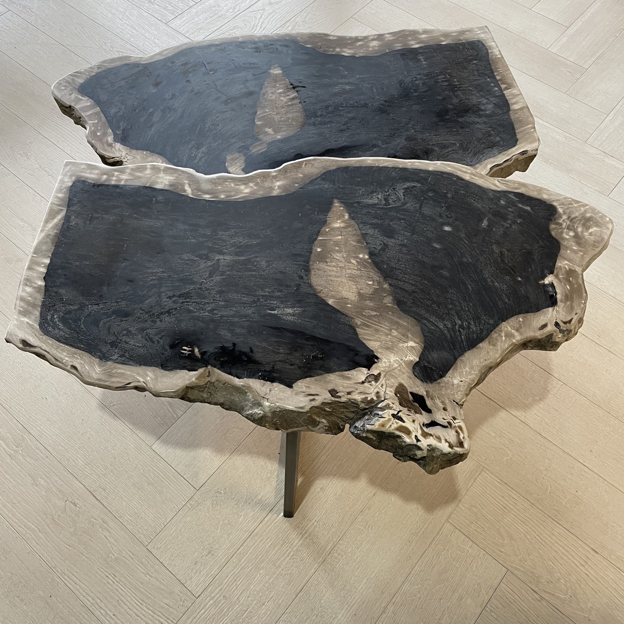 Versteend hout salontafel