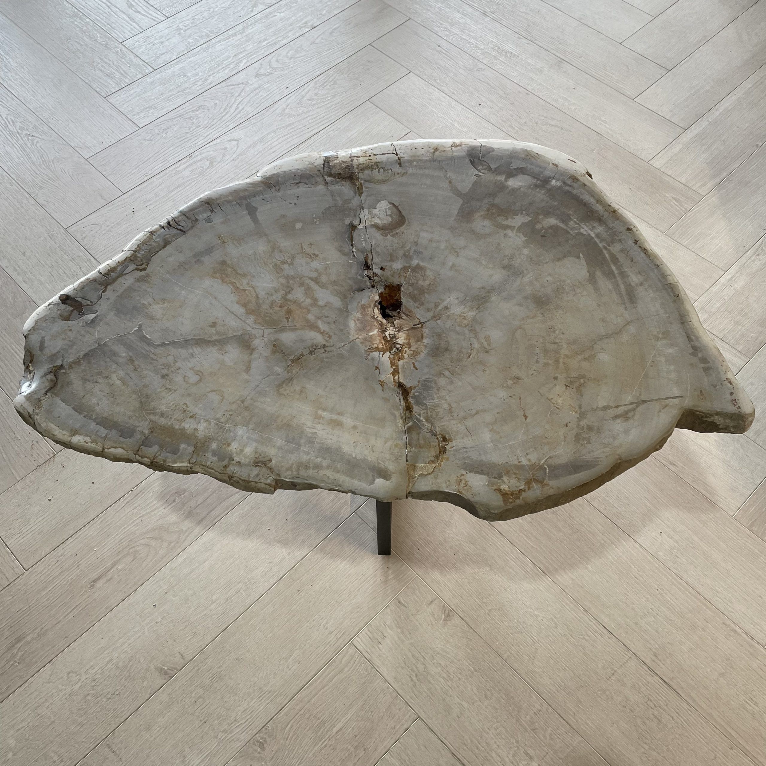 Couchtisch aus versteinertem Holz