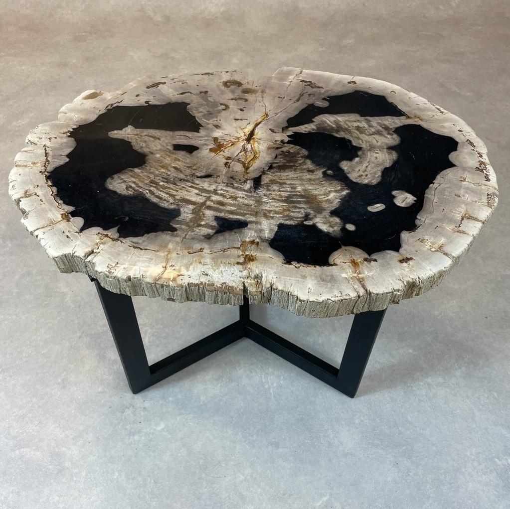 Couchtisch aus versteinertem Holz - Mix #24B9