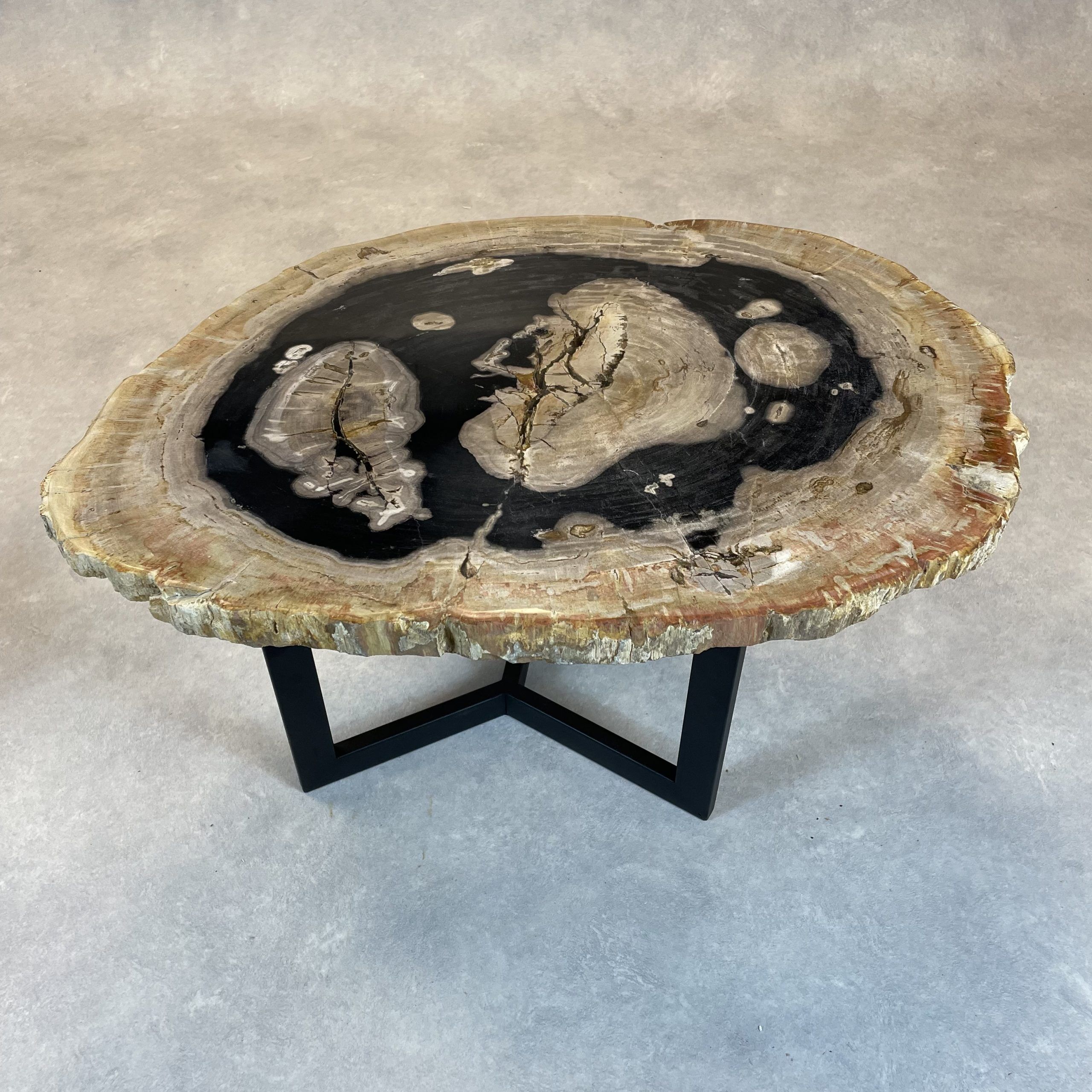 Couchtisch aus versteinertem Holz - Mix #296B11