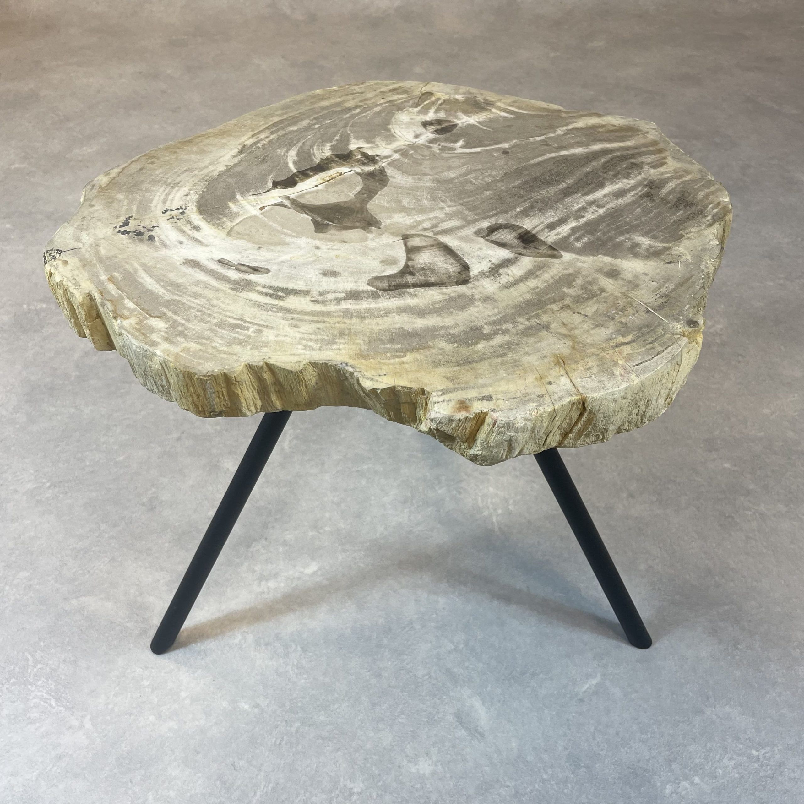 Couchtisch aus versteinertem Holz - Beige #211B1 – Bild 2