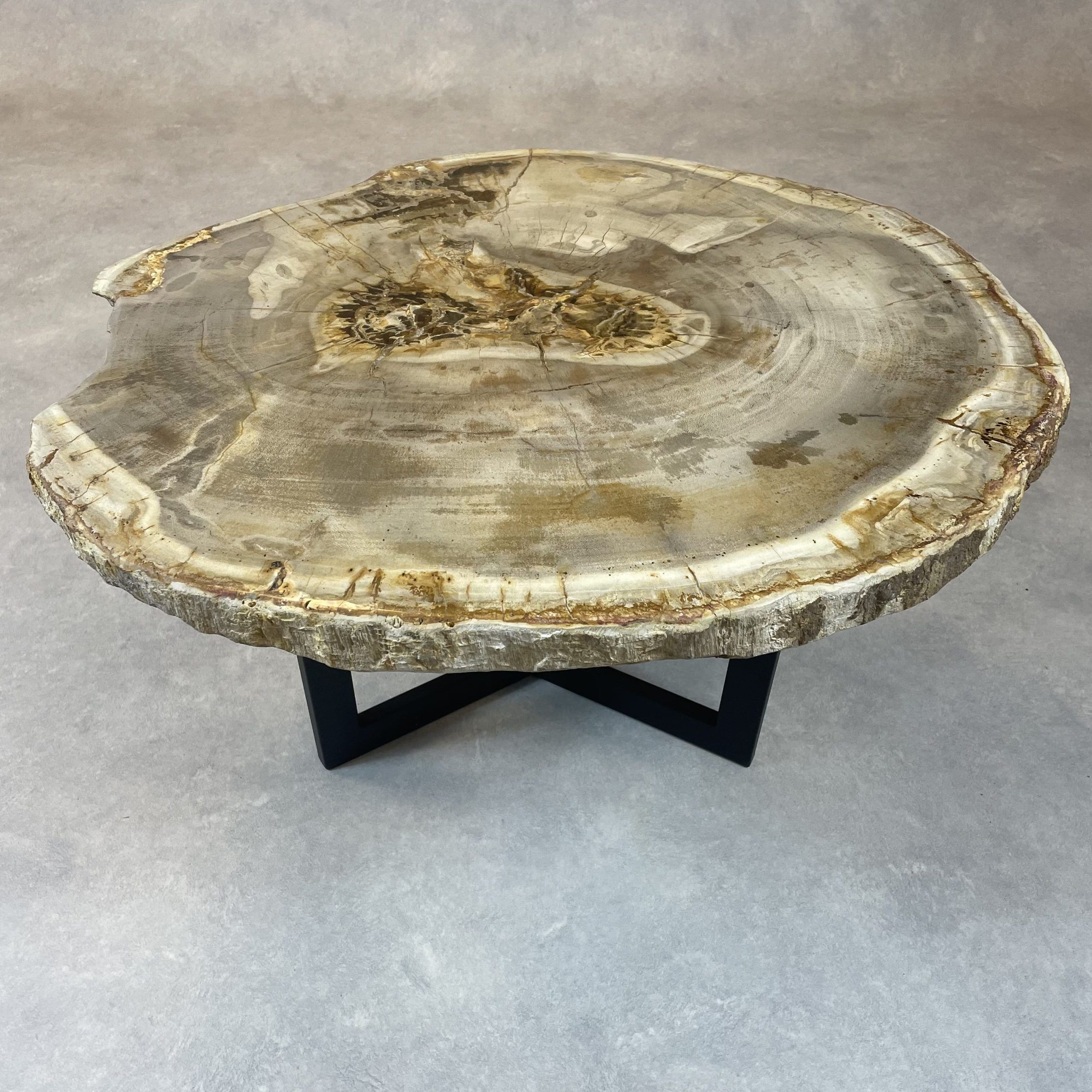 Couchtisch aus versteinertem Holz