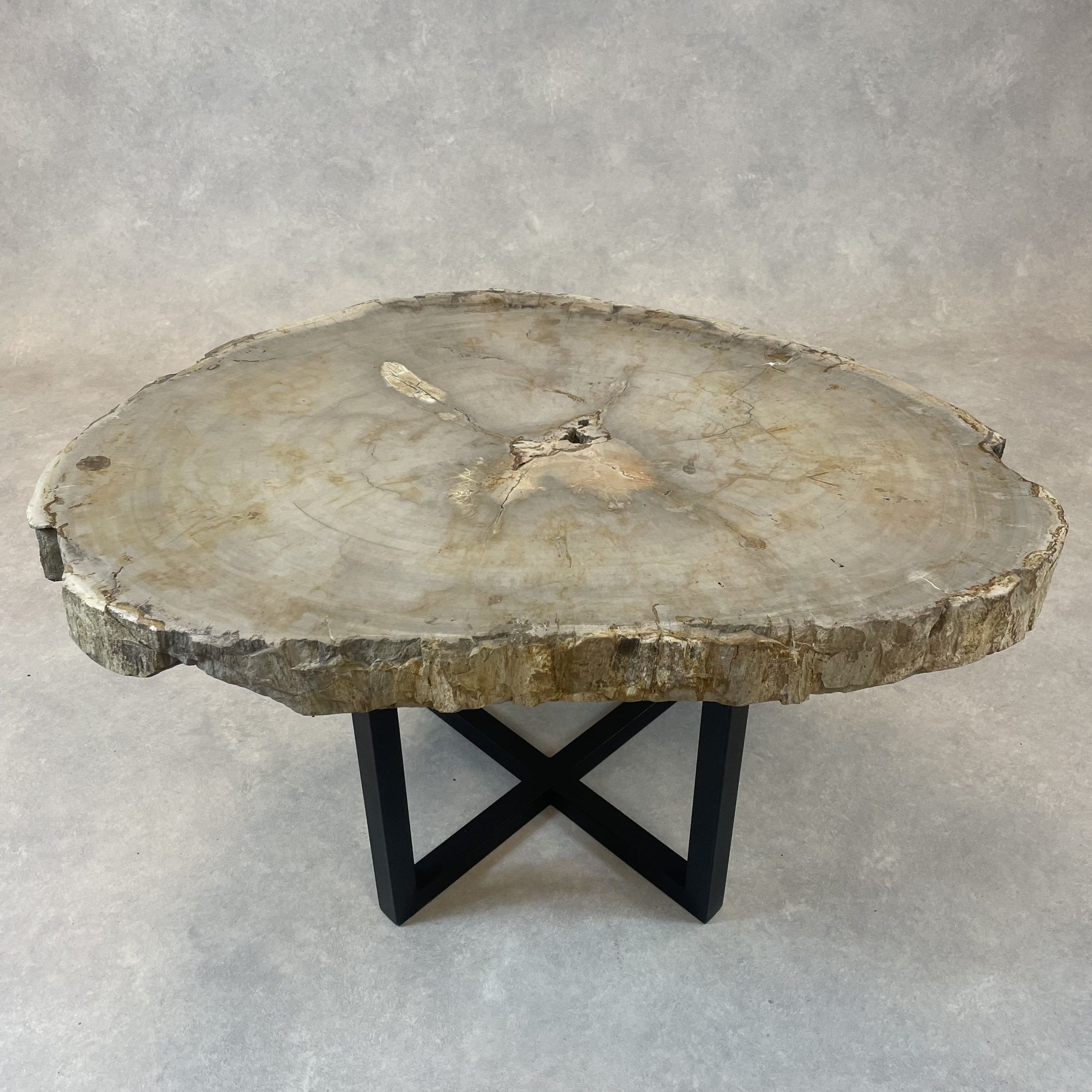 Versteend hout salontafel