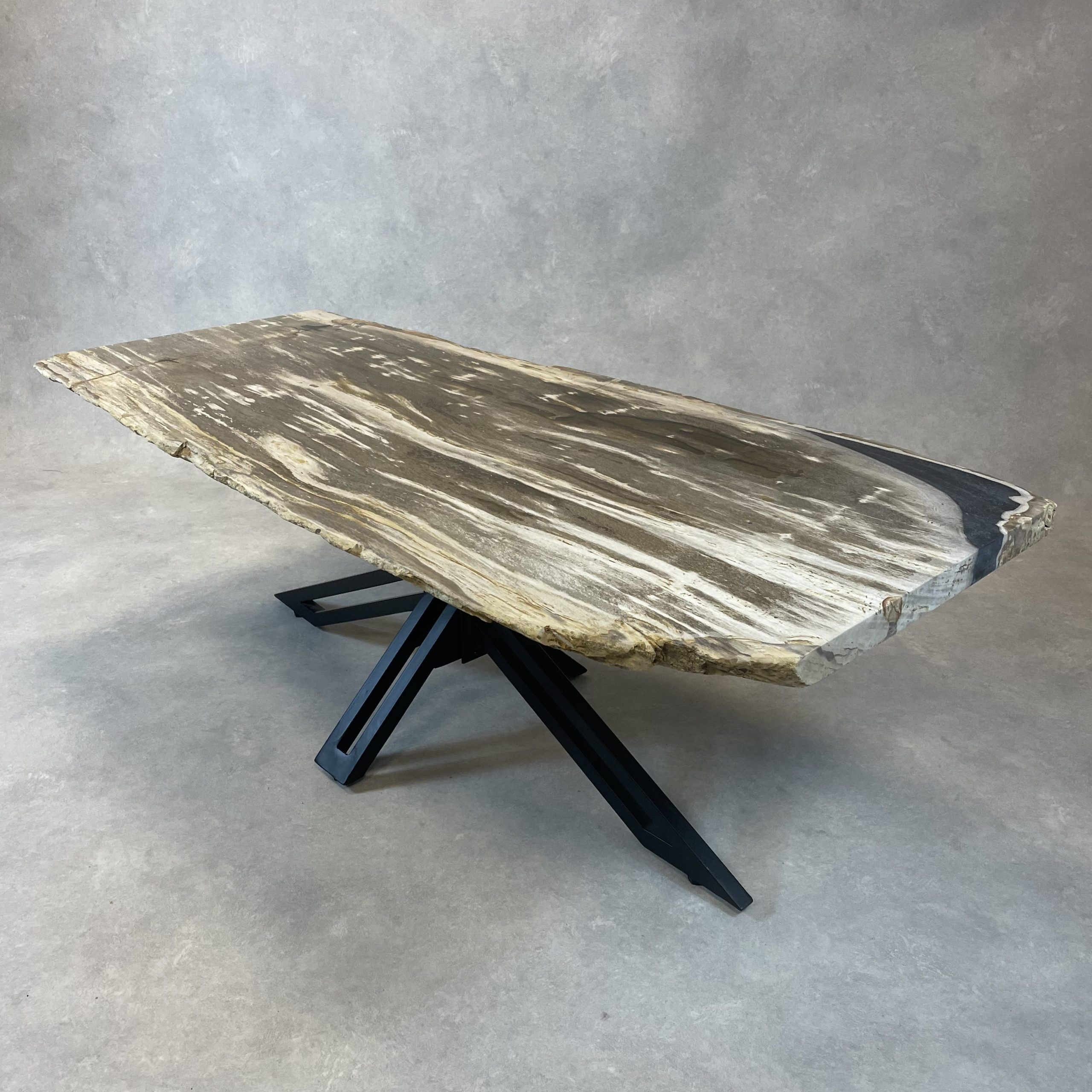 Couchtisch aus versteinertem Holz