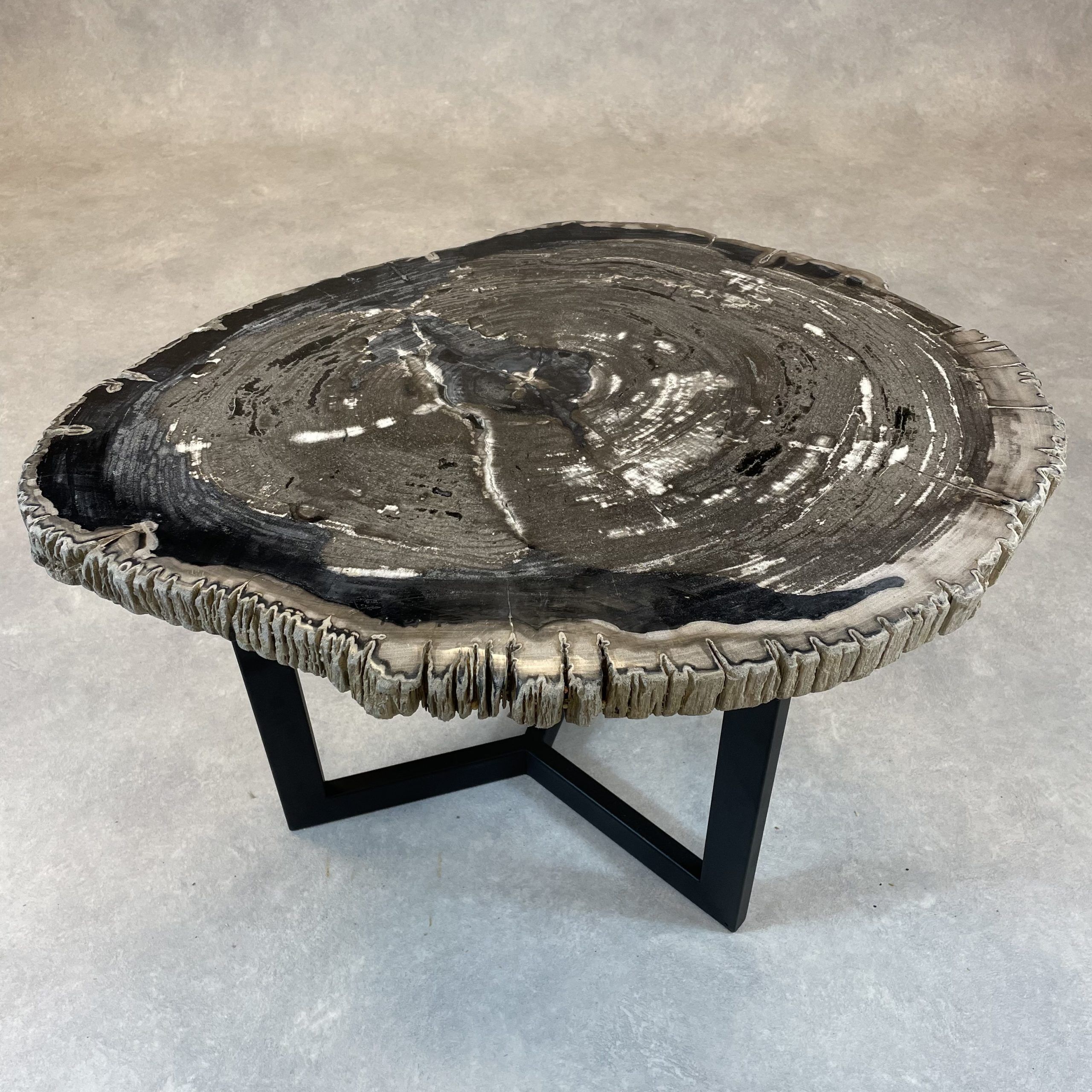 Couchtisch aus versteinertem Holz