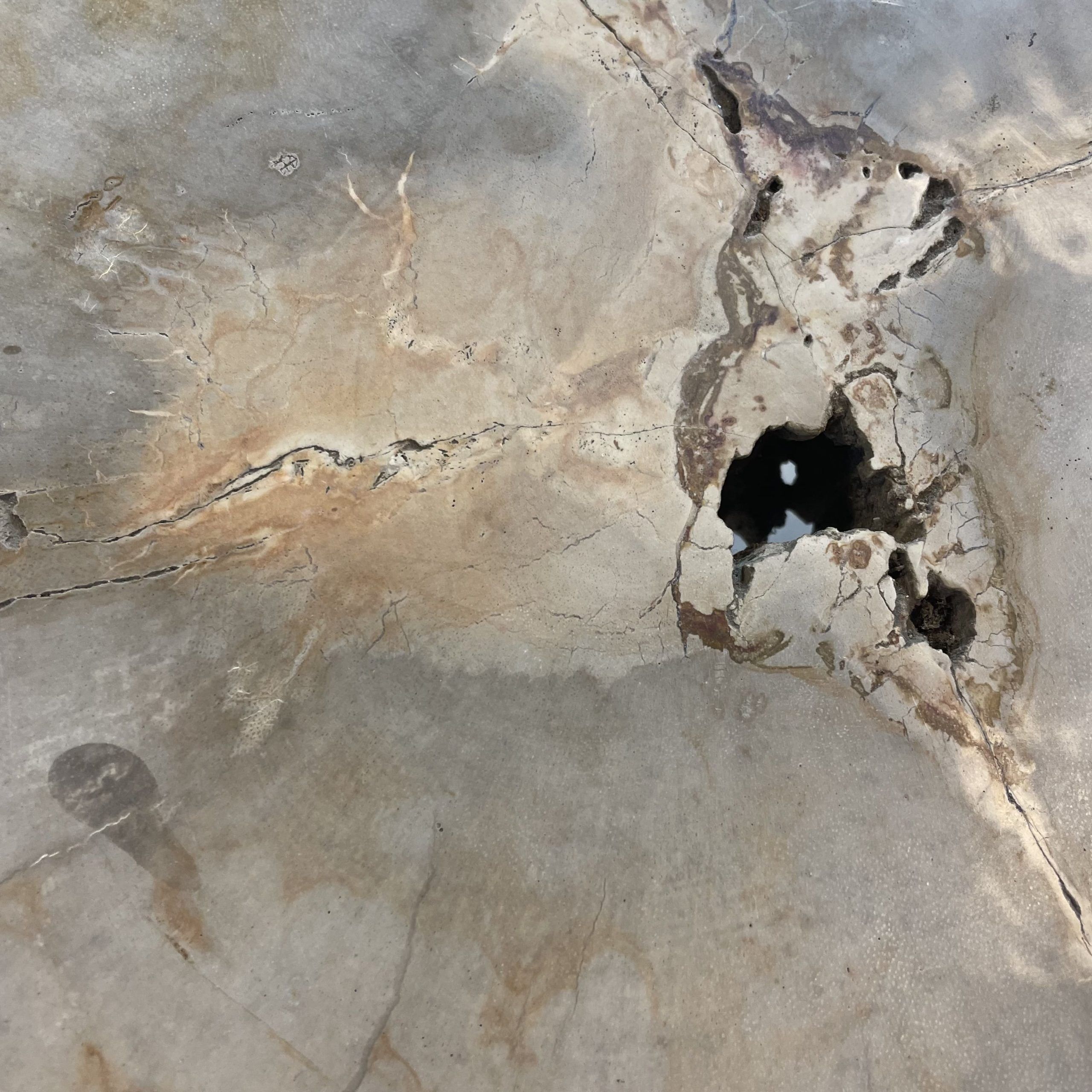 Versteend hout salontafel