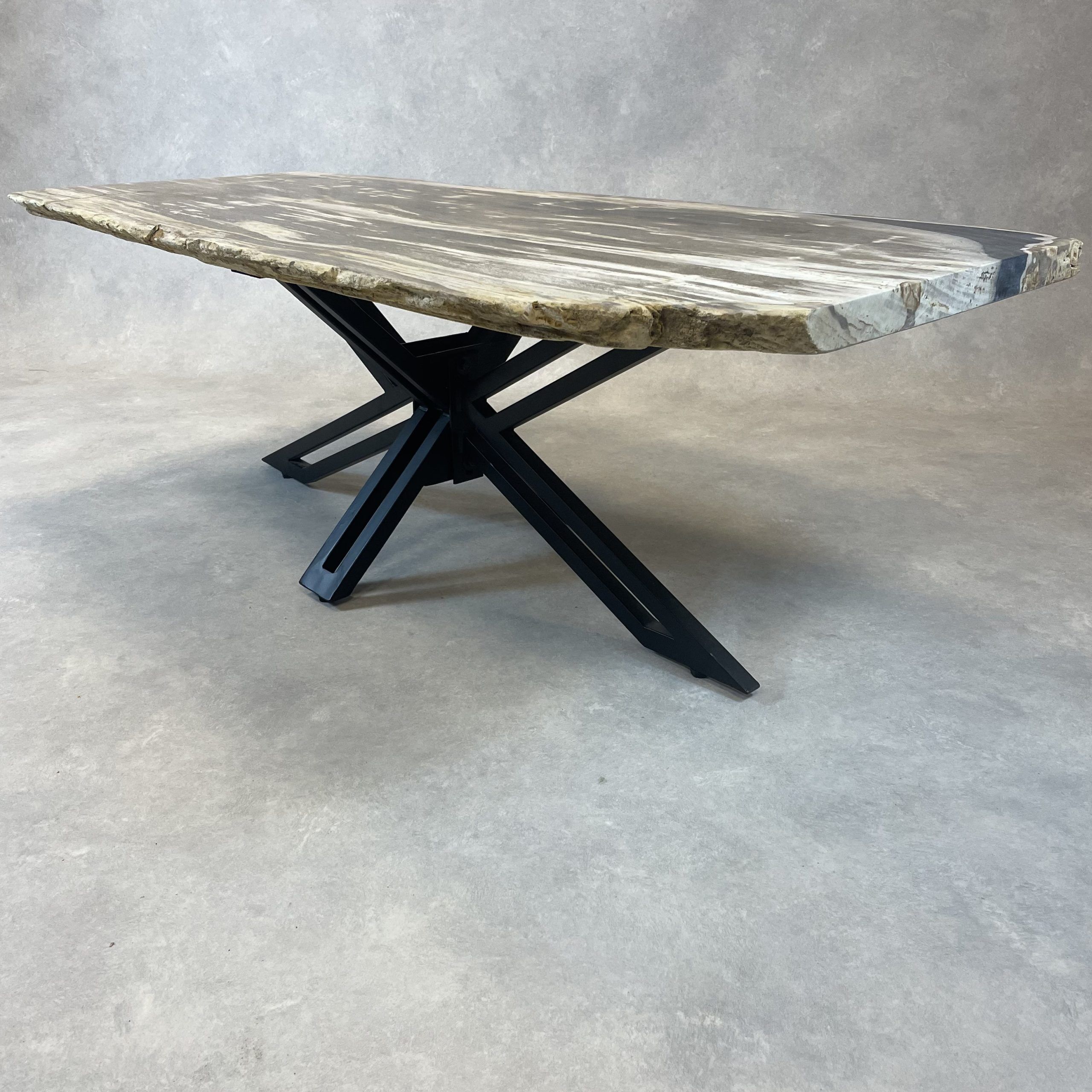 Couchtisch aus versteinertem Holz