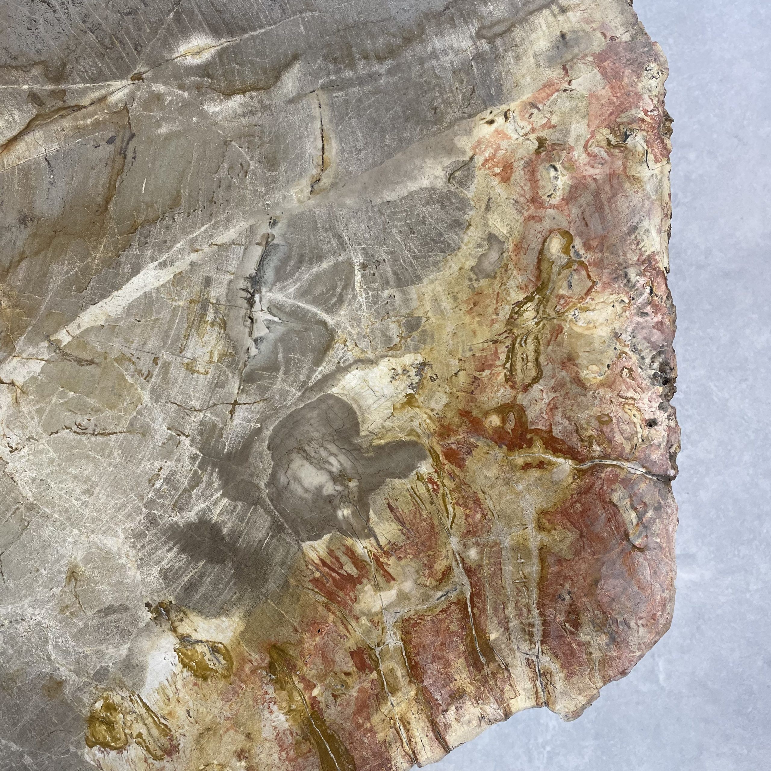 Versteend hout salontafel