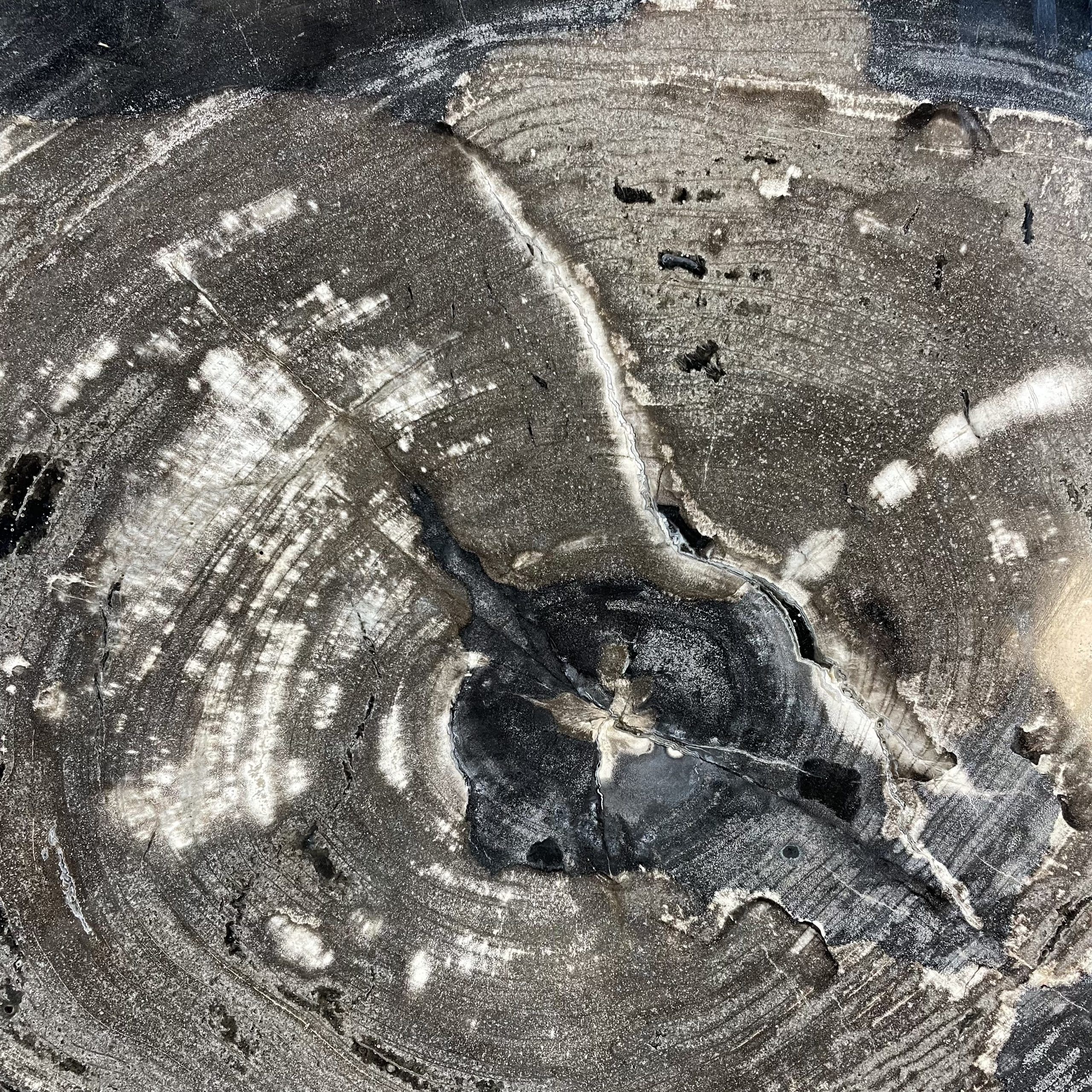 Couchtisch aus versteinertem Holz