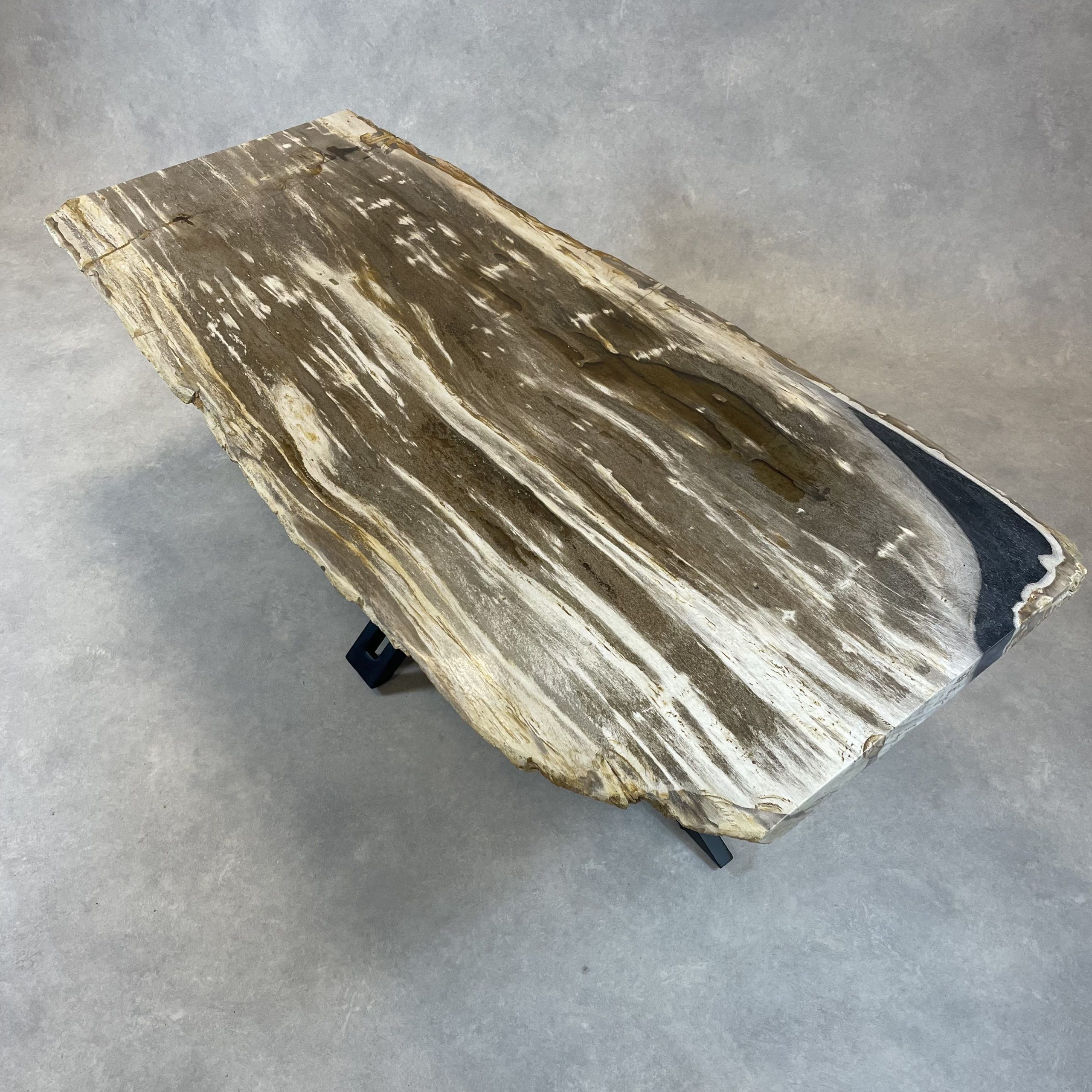 Couchtisch aus versteinertem Holz