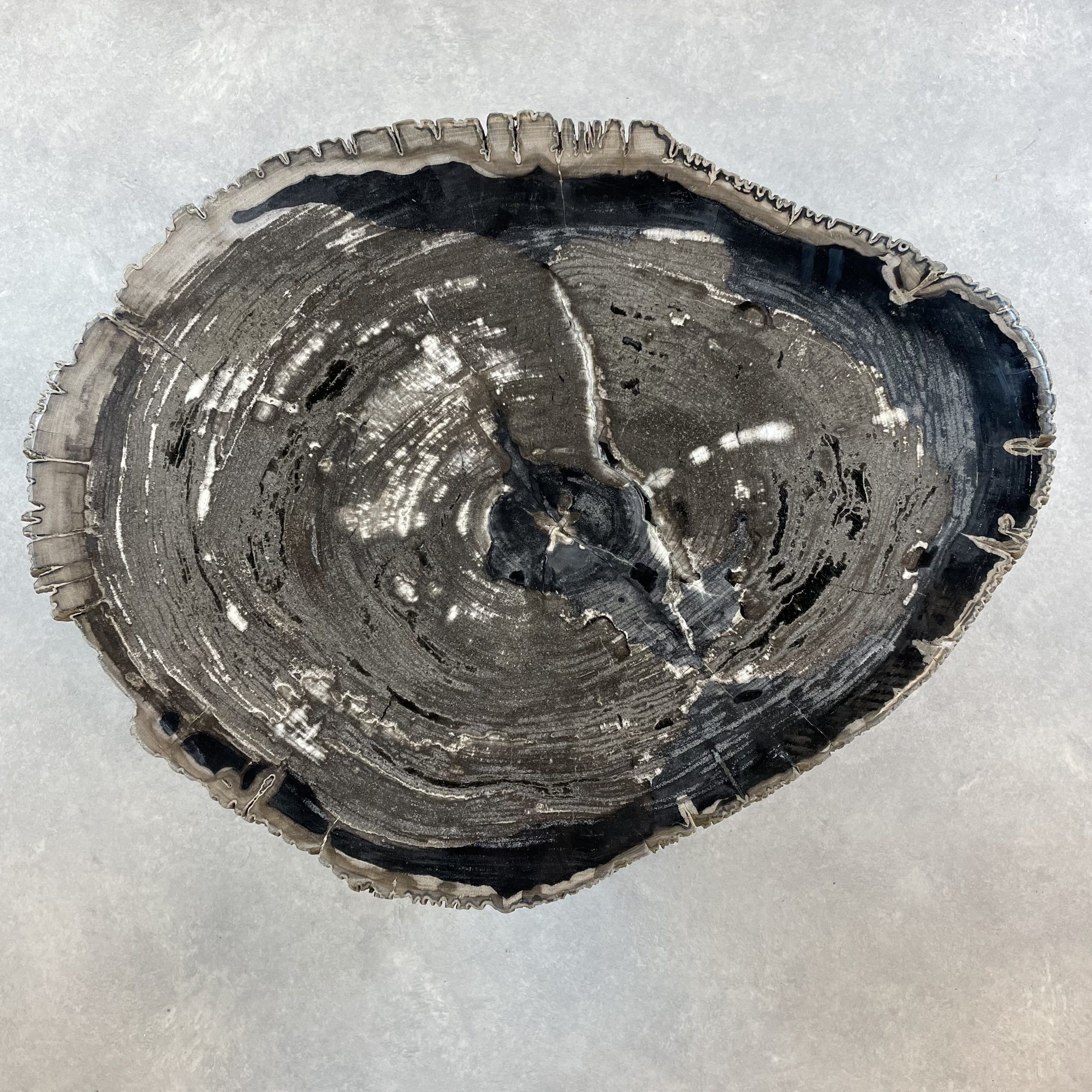 Couchtisch aus versteinertem Holz