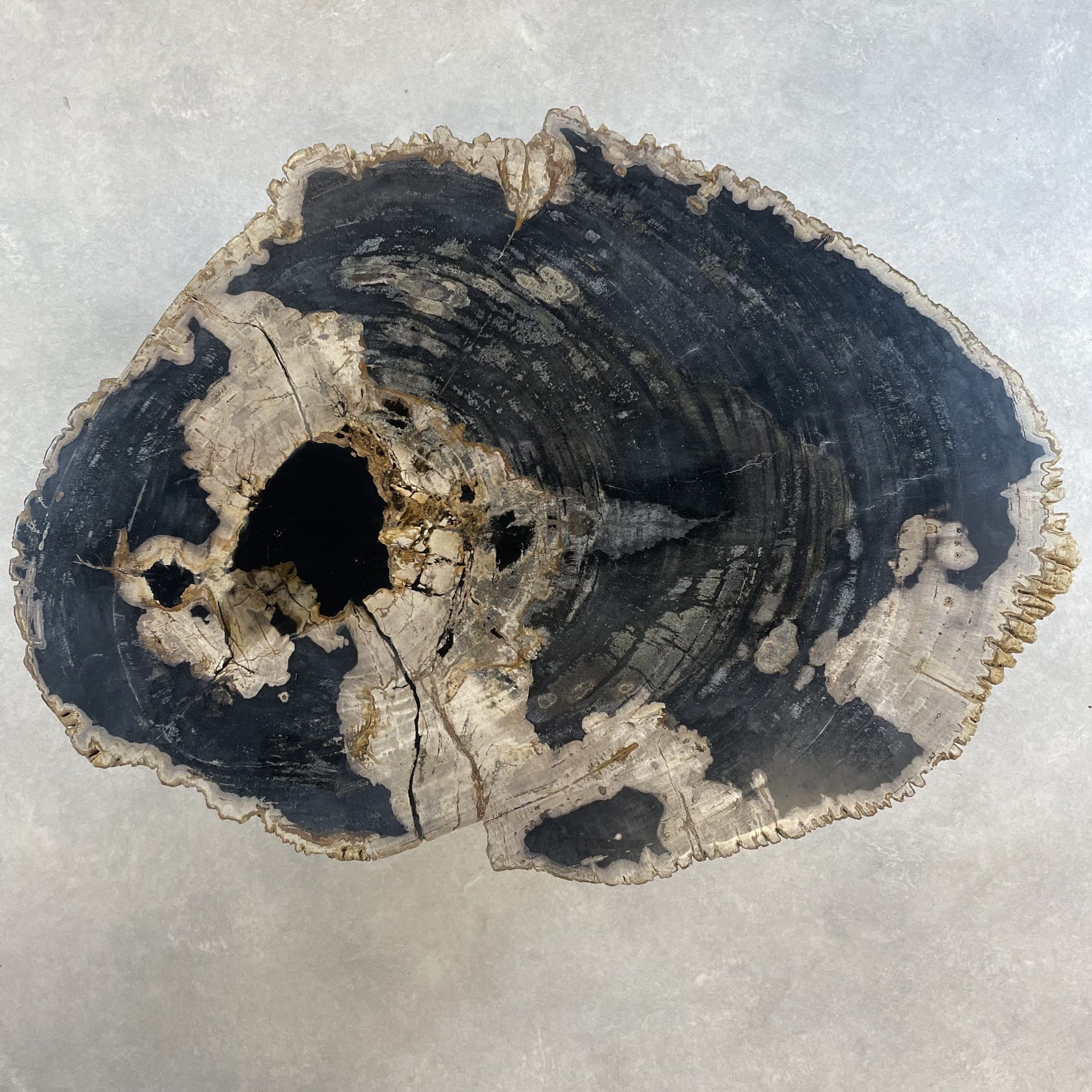 Versteend hout salontafel