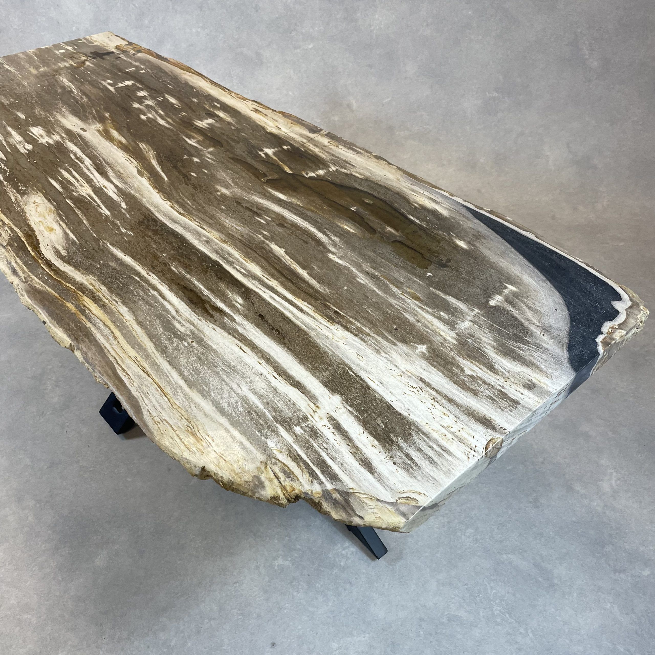 Couchtisch aus versteinertem Holz