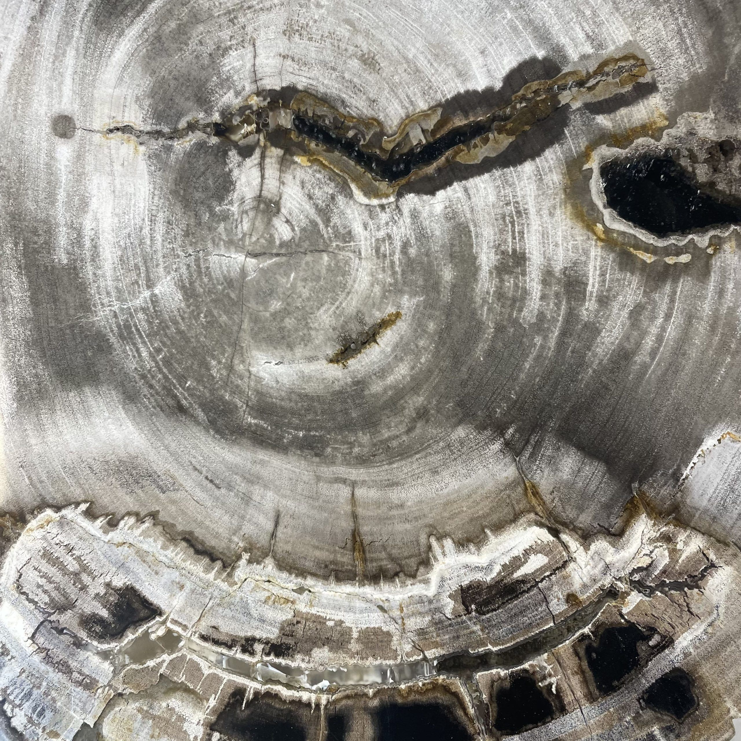 Couchtisch aus versteinertem Holz