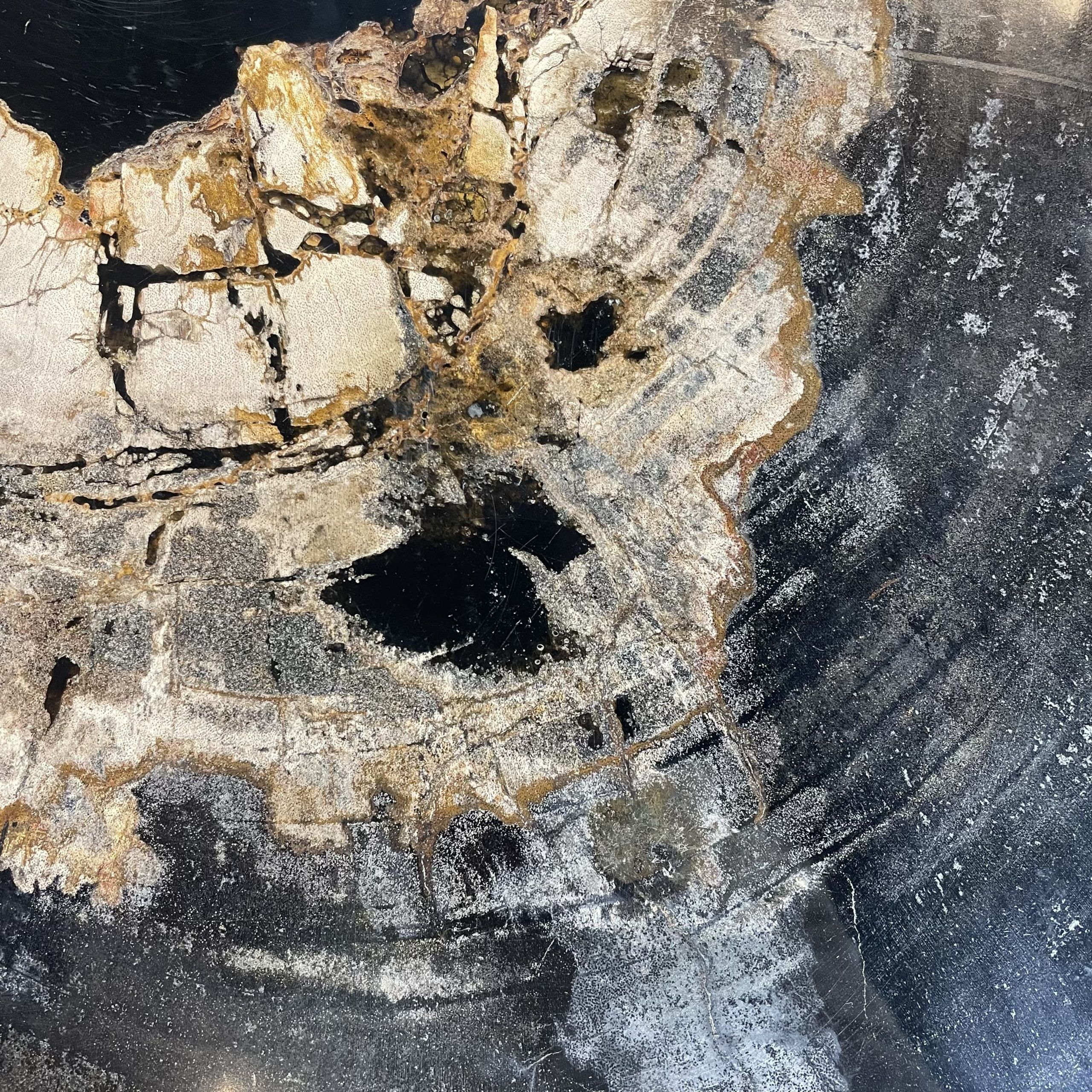 Versteend hout salontafel